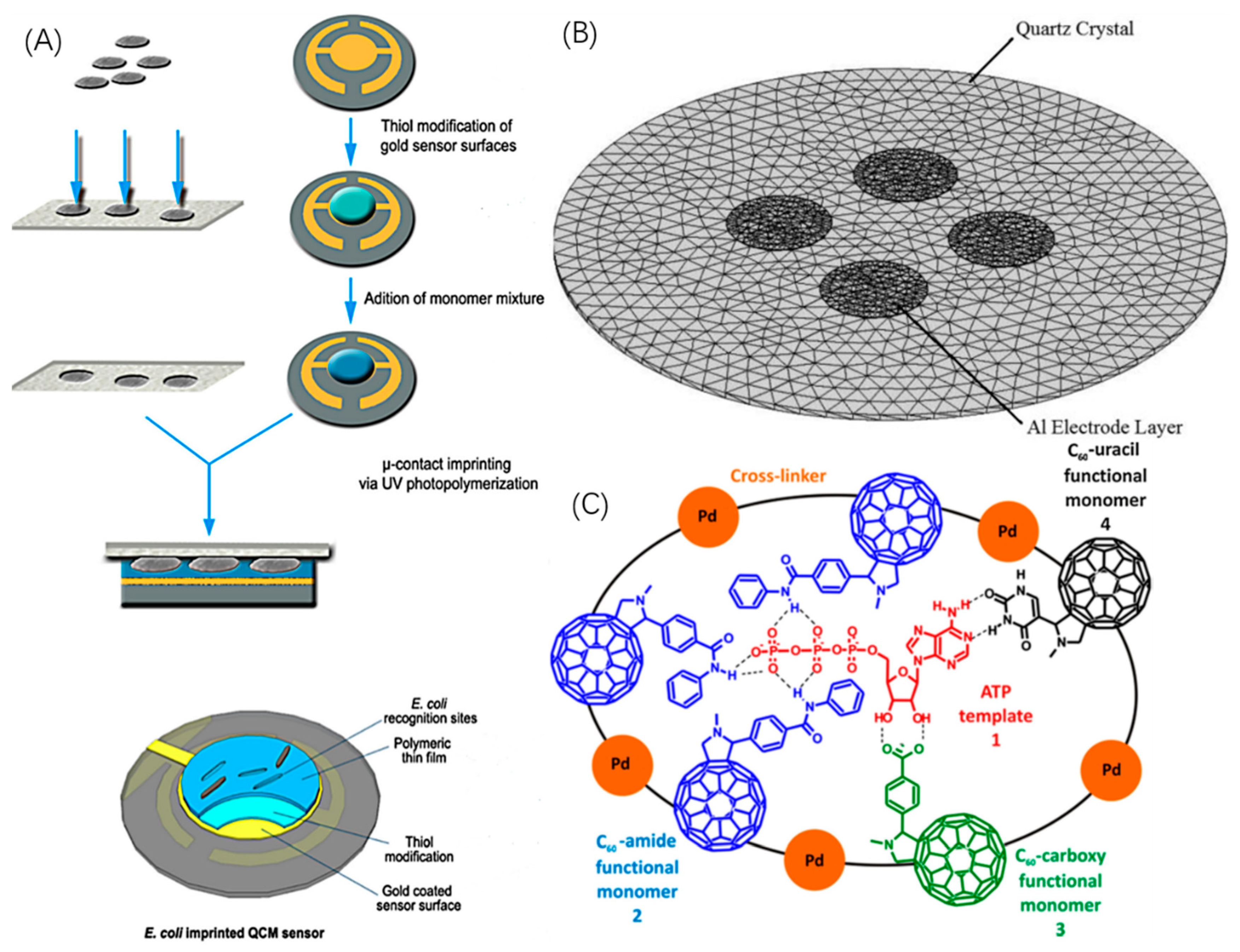 Sensors 19 00177 g011