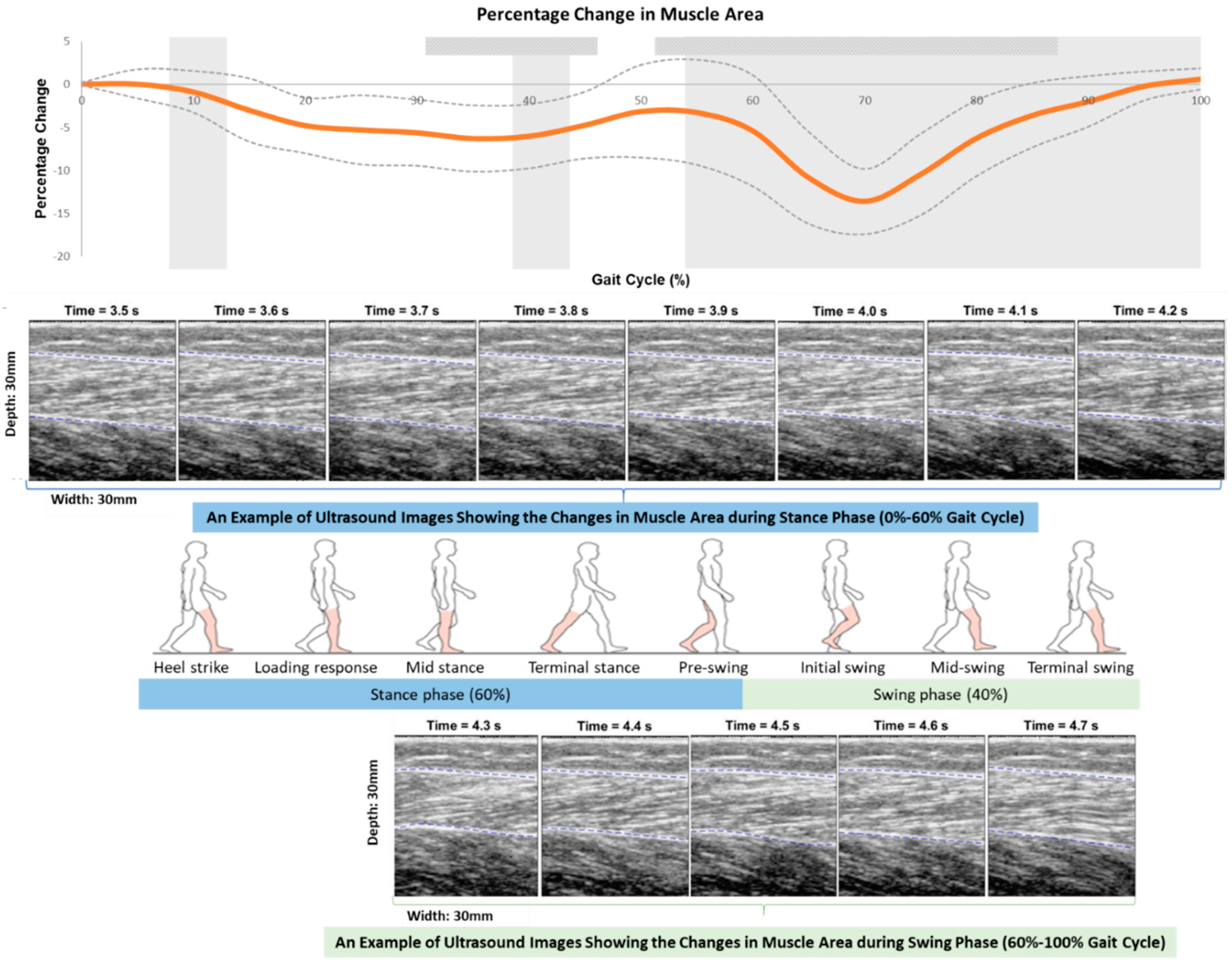 Sensors 19 00195 g005