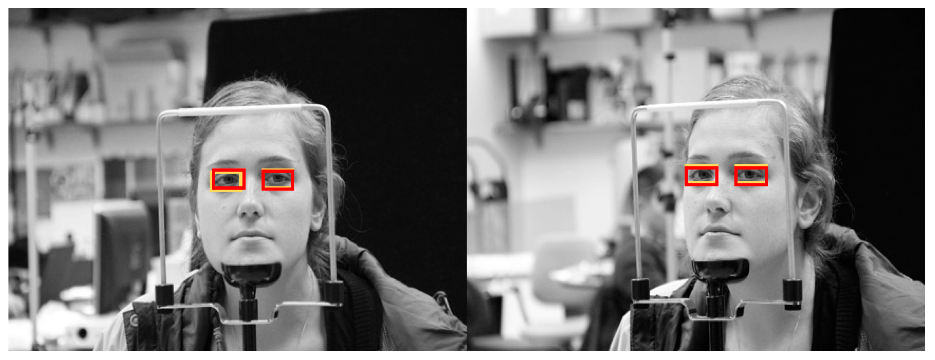 Sensors 19 00197 g025