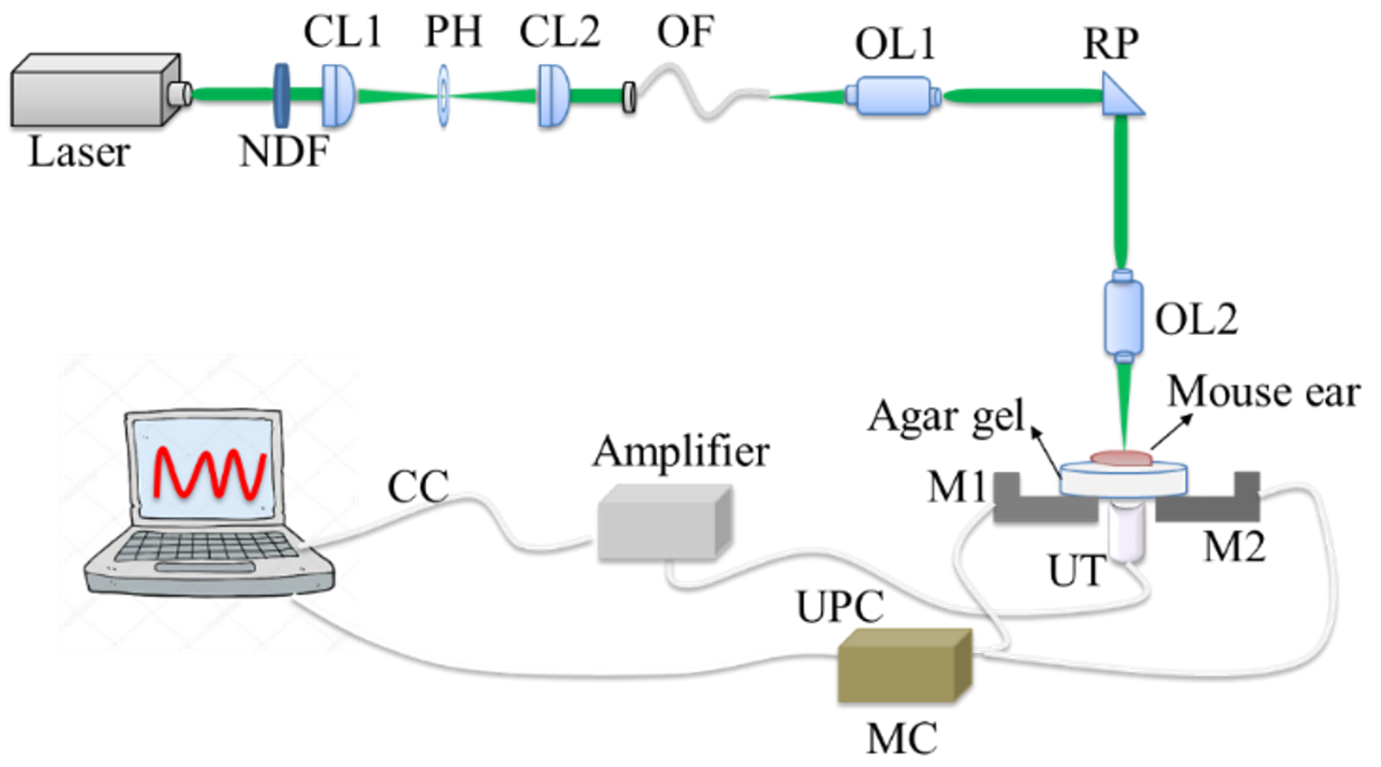 Sensors 19 00238 g001