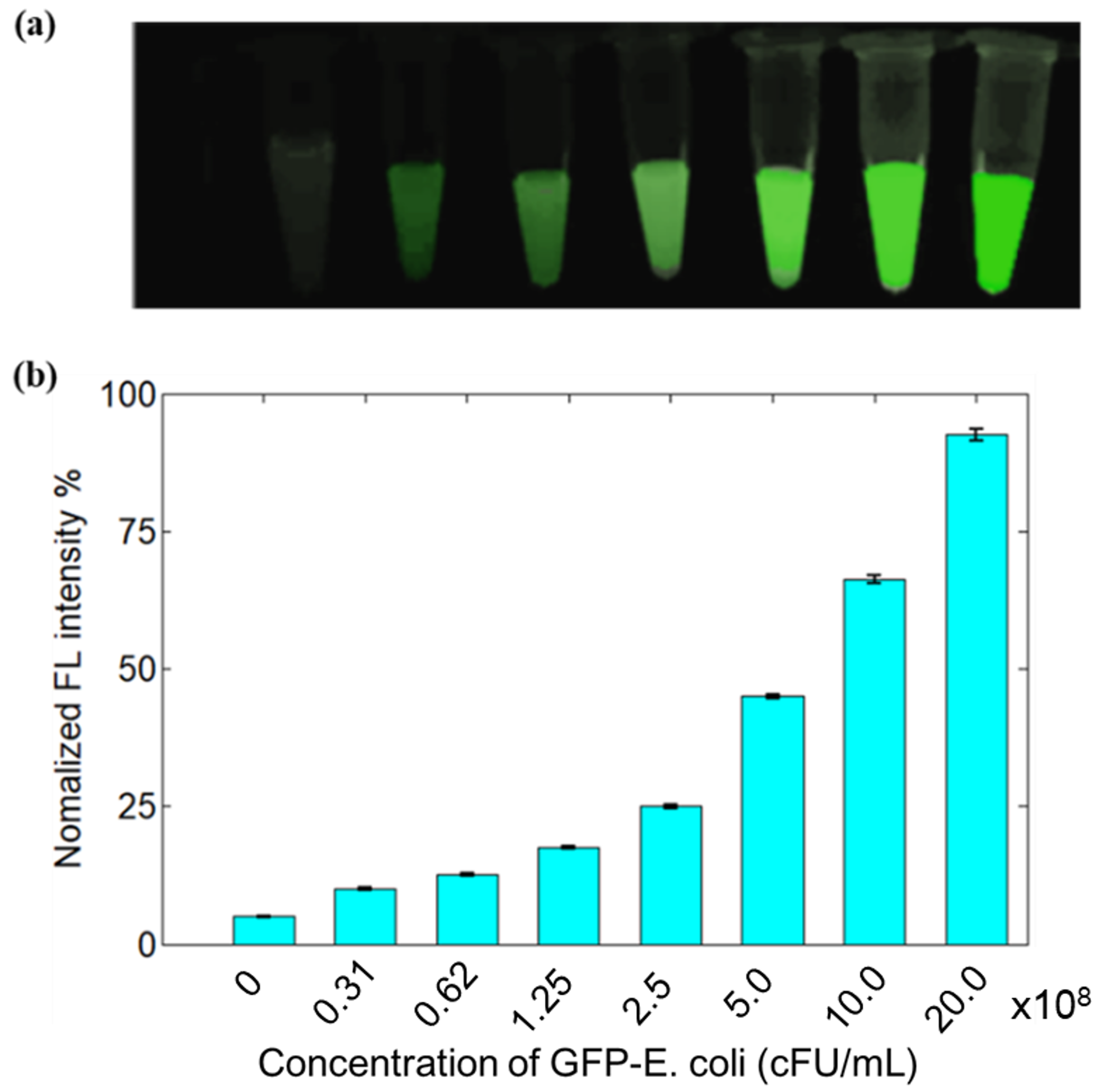 Sensors 19 00238 g003