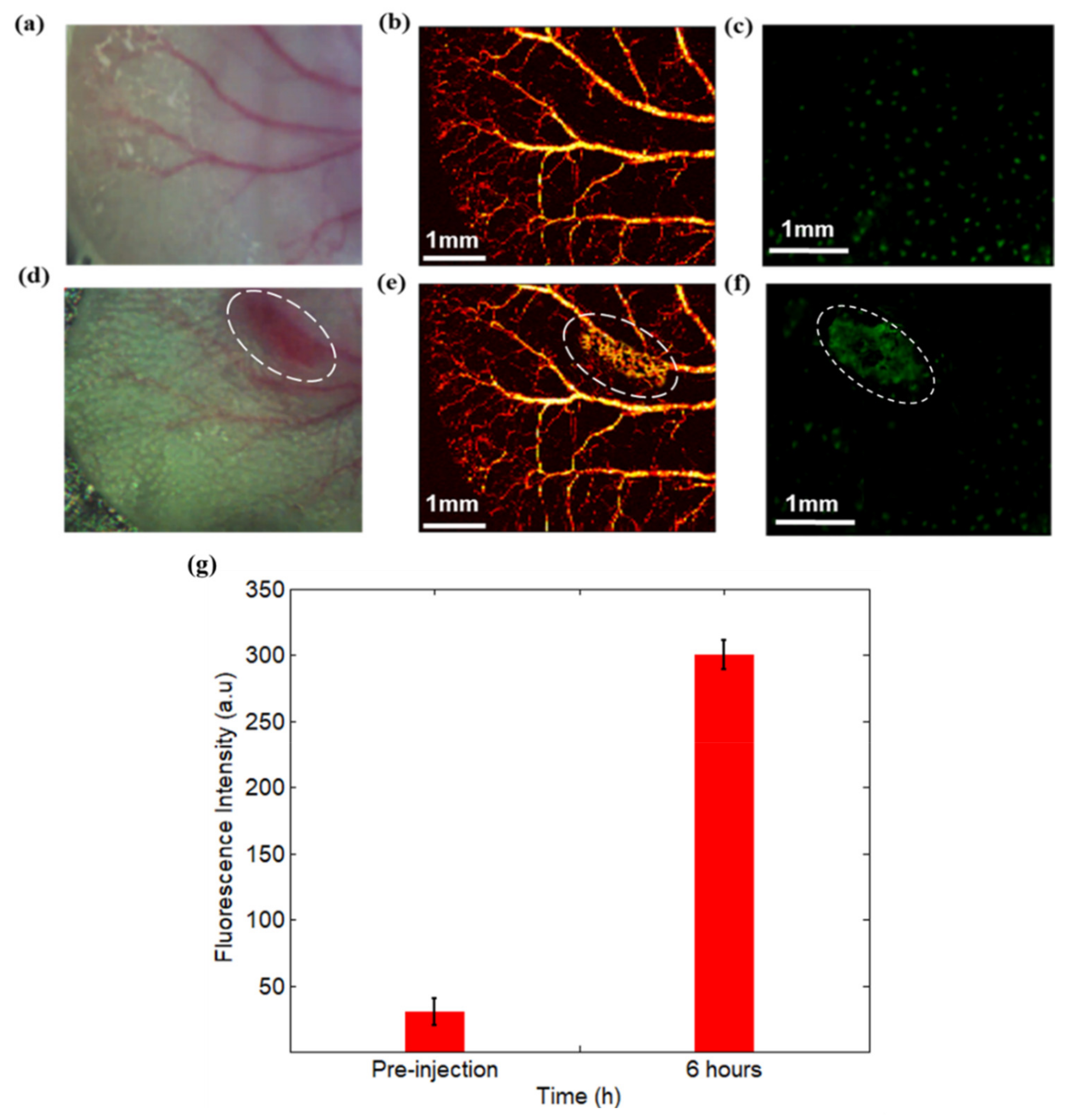 Sensors 19 00238 g004
