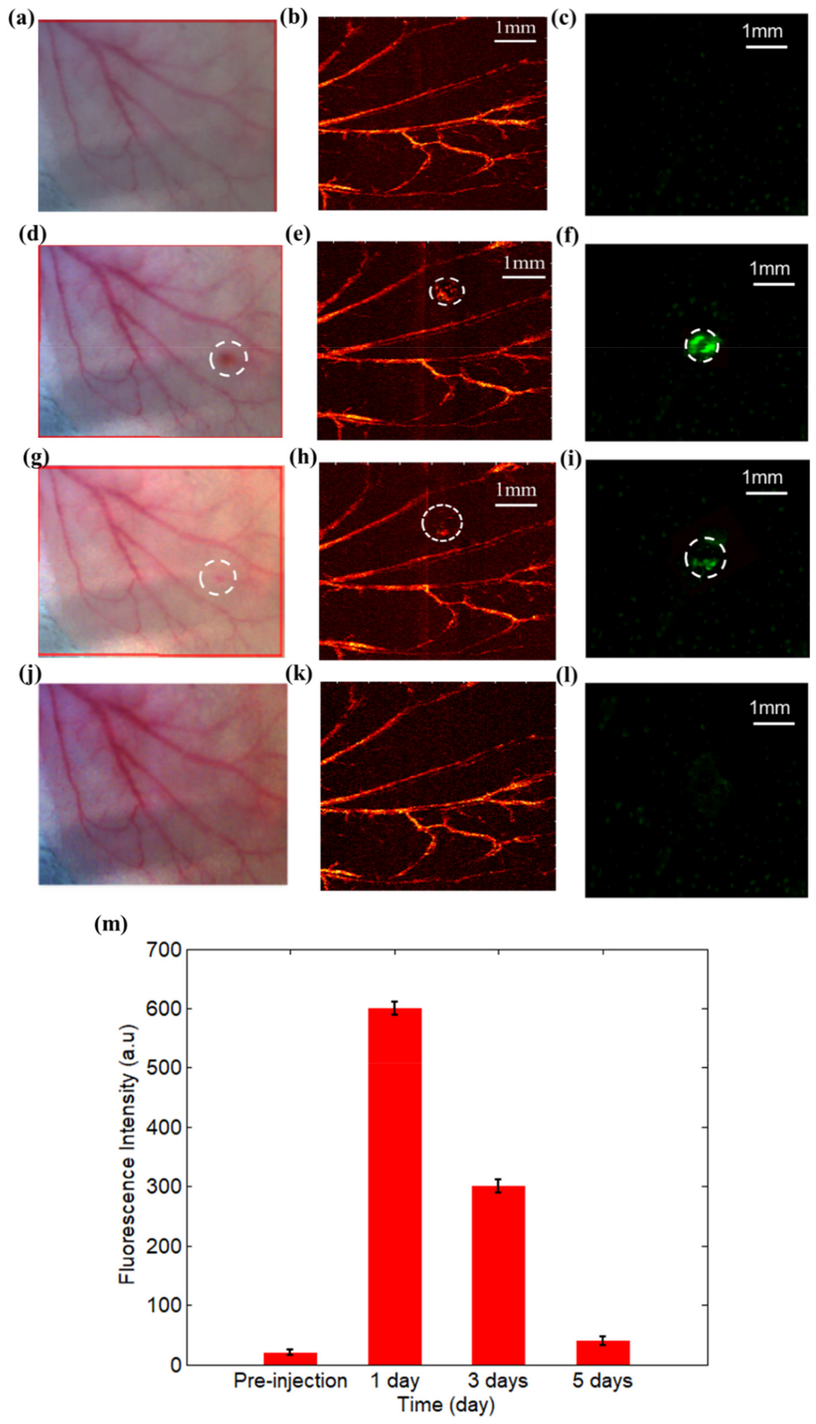 Sensors 19 00238 g005
