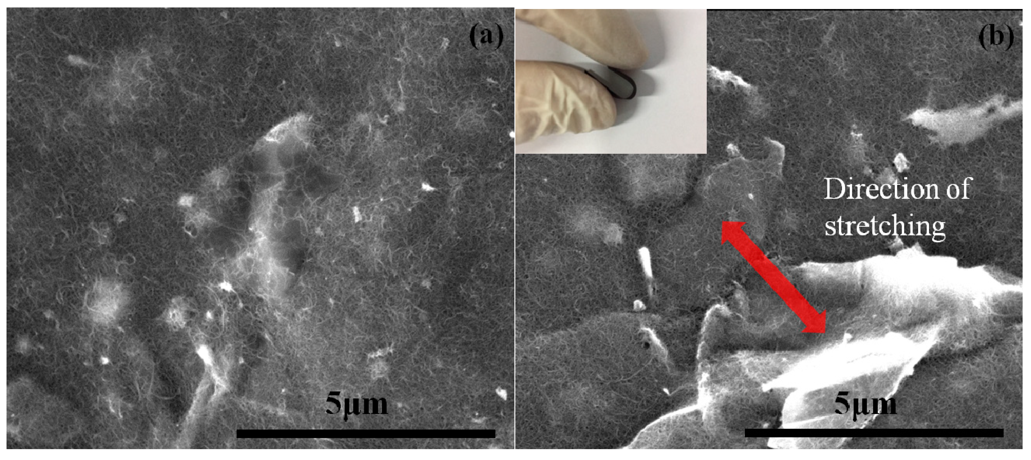 Sensors 19 00317 g003