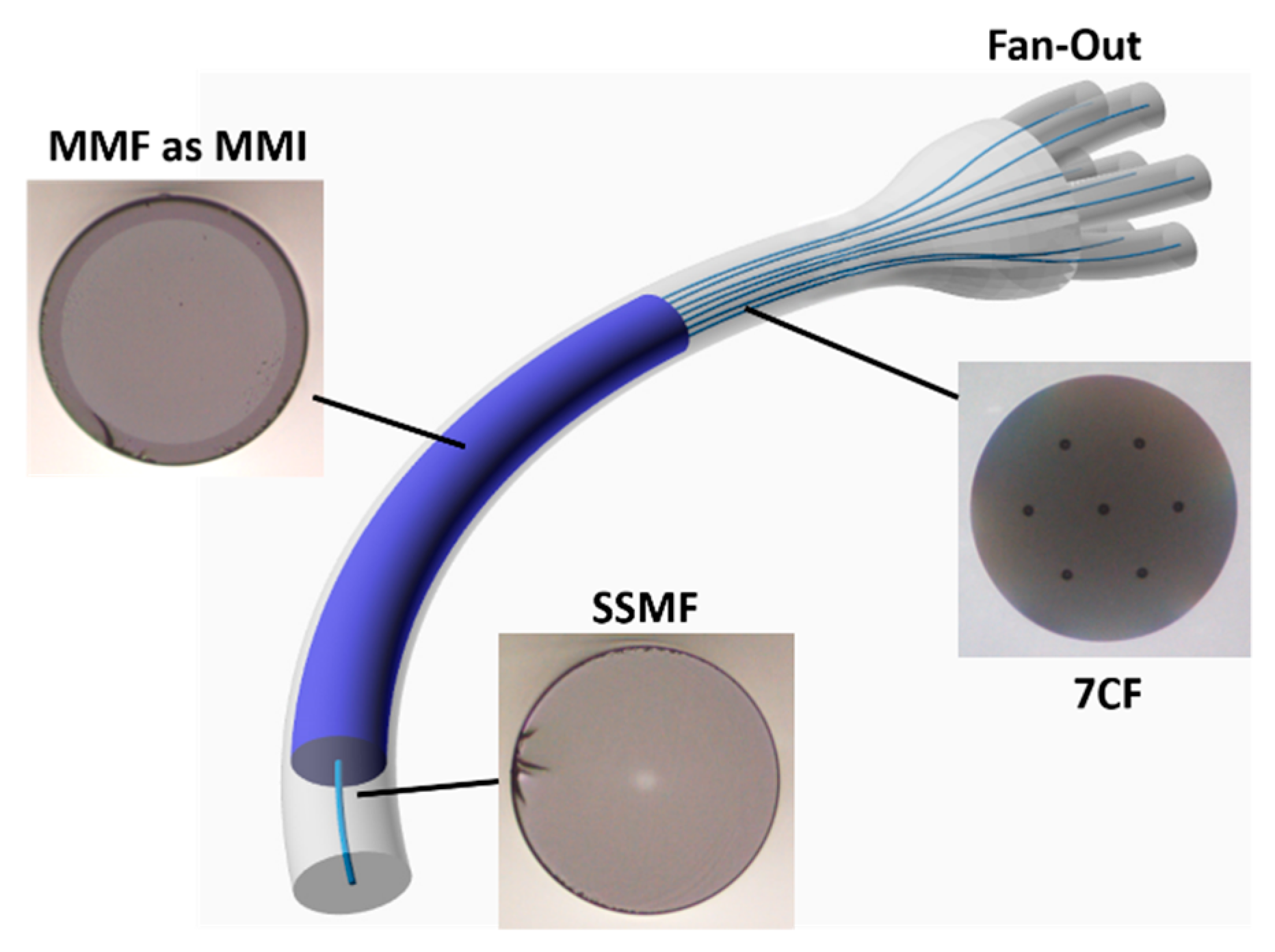 Sensors 19 00321 g001
