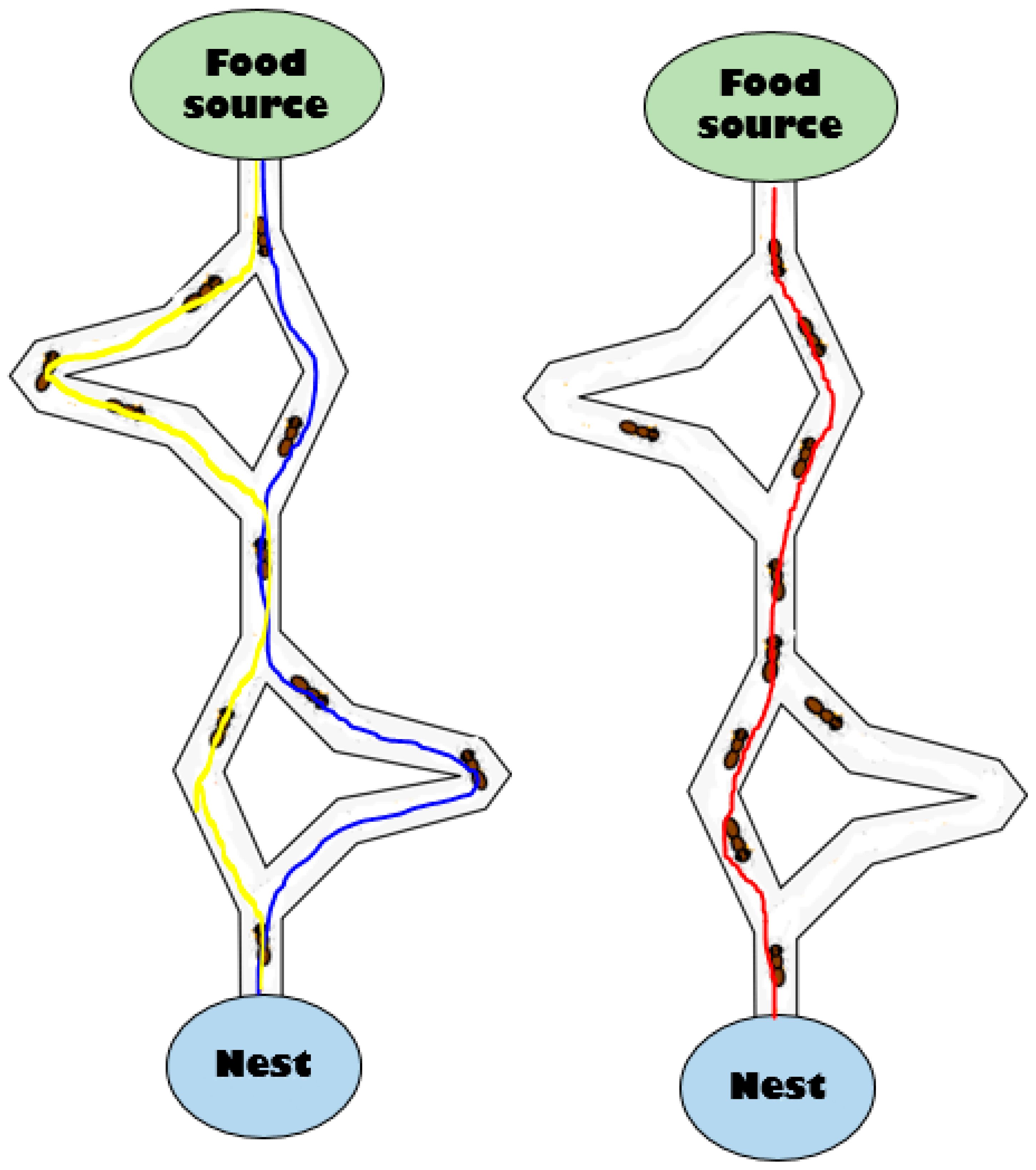 Sensors 19 00322 g006