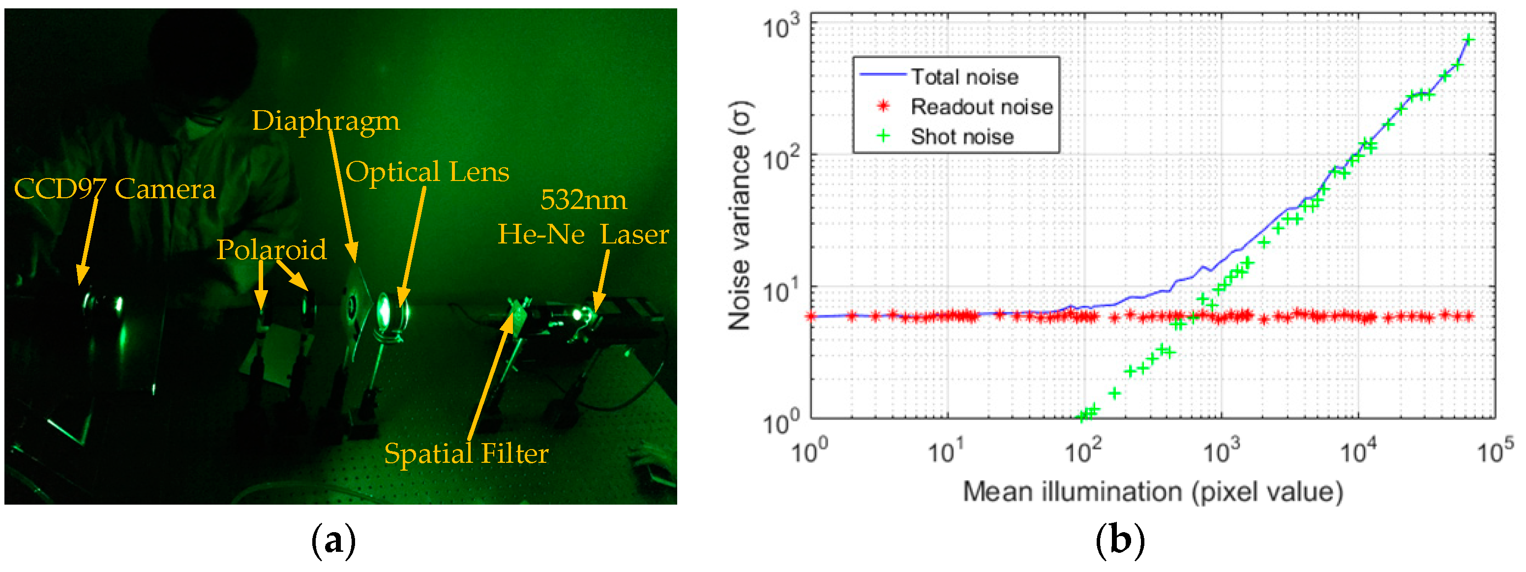 Sensors 19 00339 g001