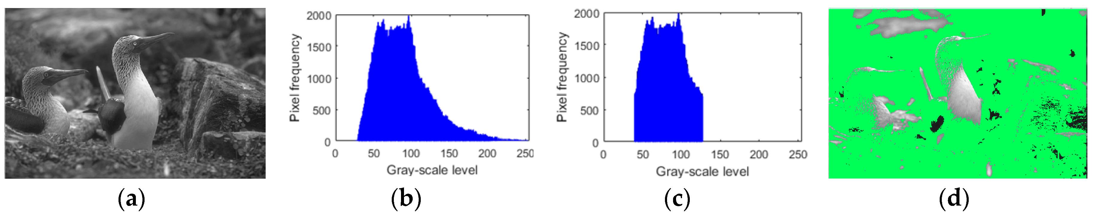 Sensors 19 00339 g004
