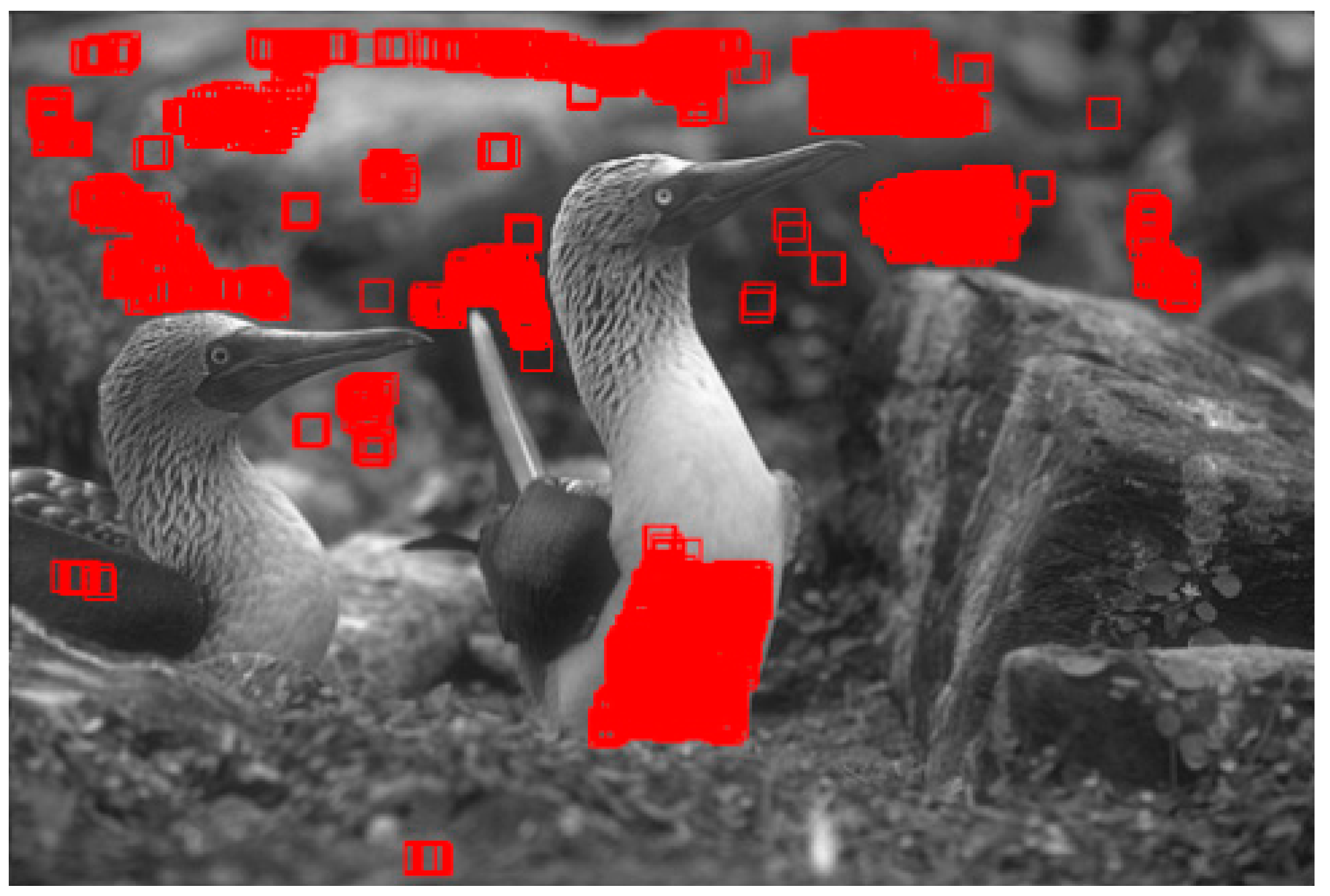 Sensors 19 00339 g005