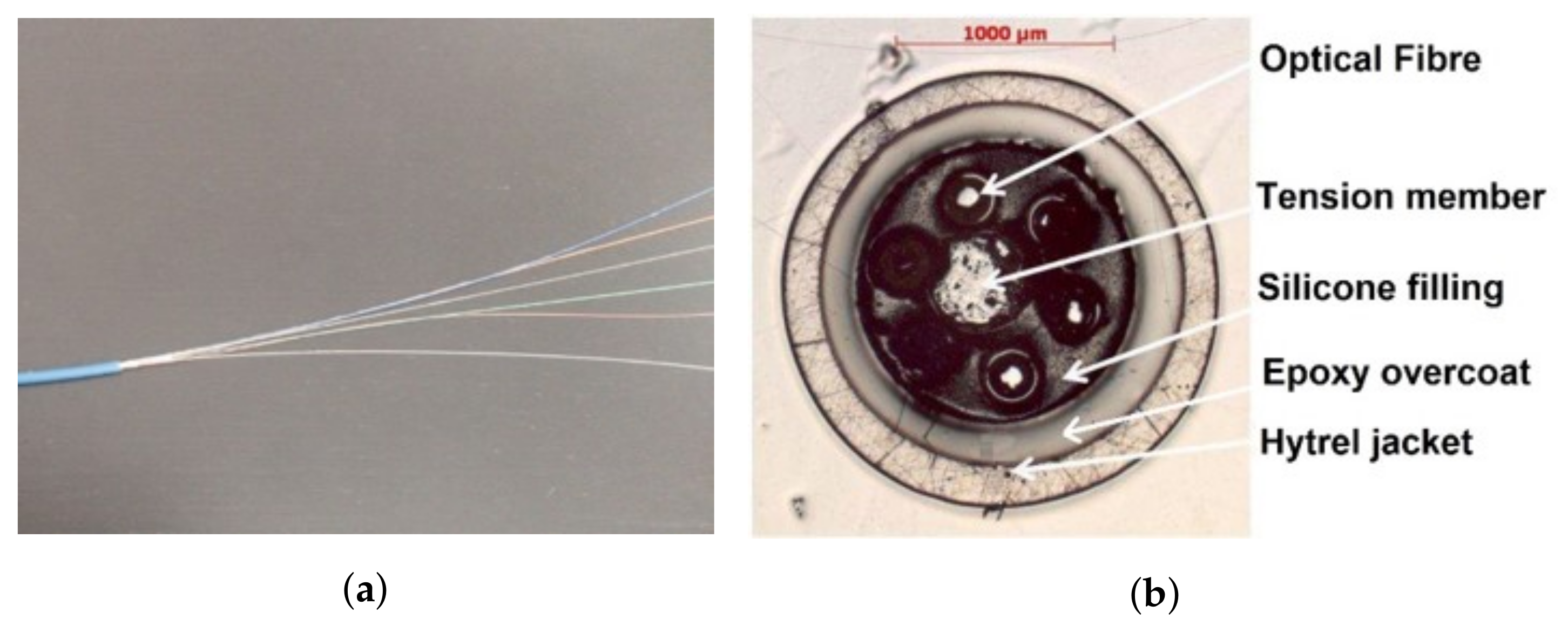 Sensors 19 00356 g005