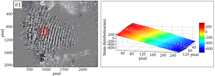 Sensors 19 00365 i001 Sensors 19 00365 i001