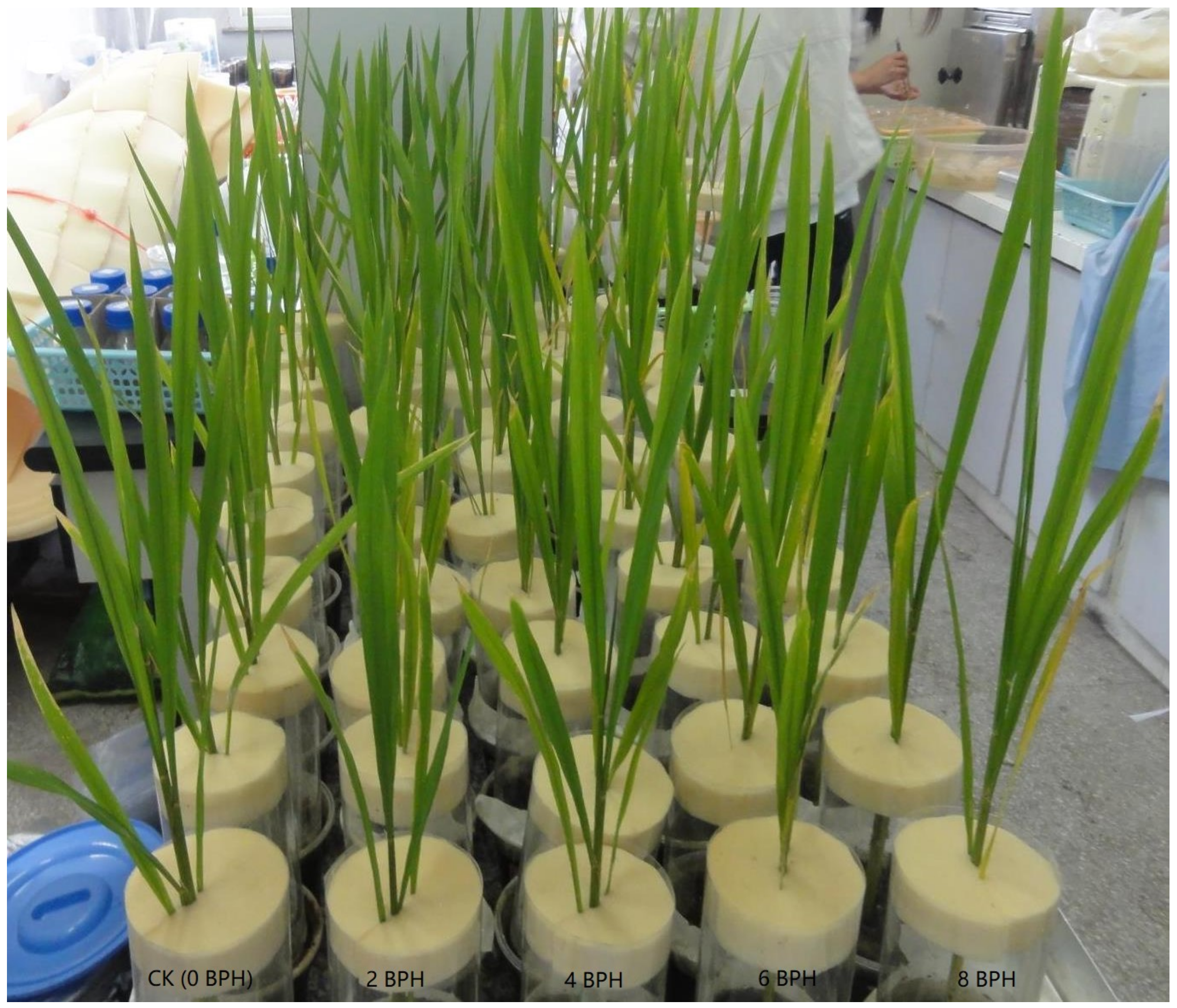 Sensors 19 00375 g001