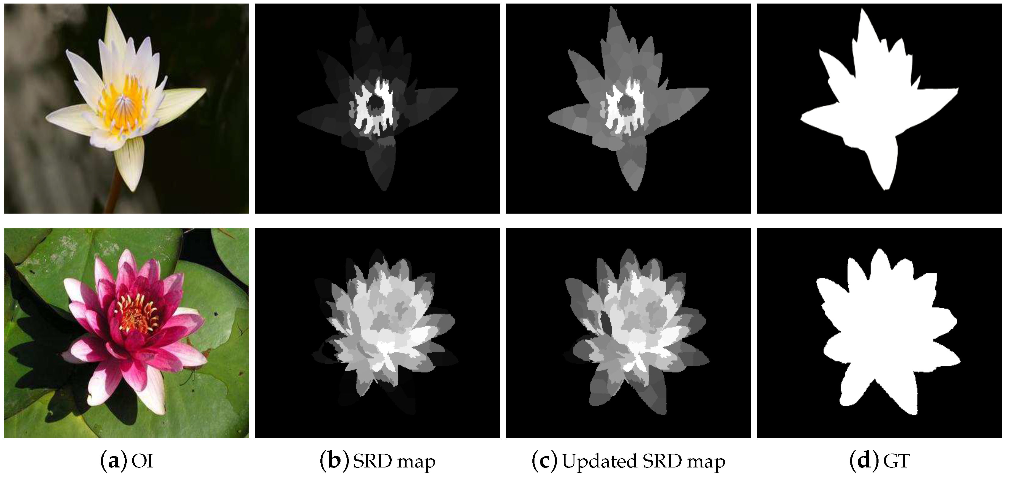 Sensors 19 00421 g002