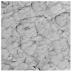 Sensors 19 00444 i003 Sensors 19 00444 i003