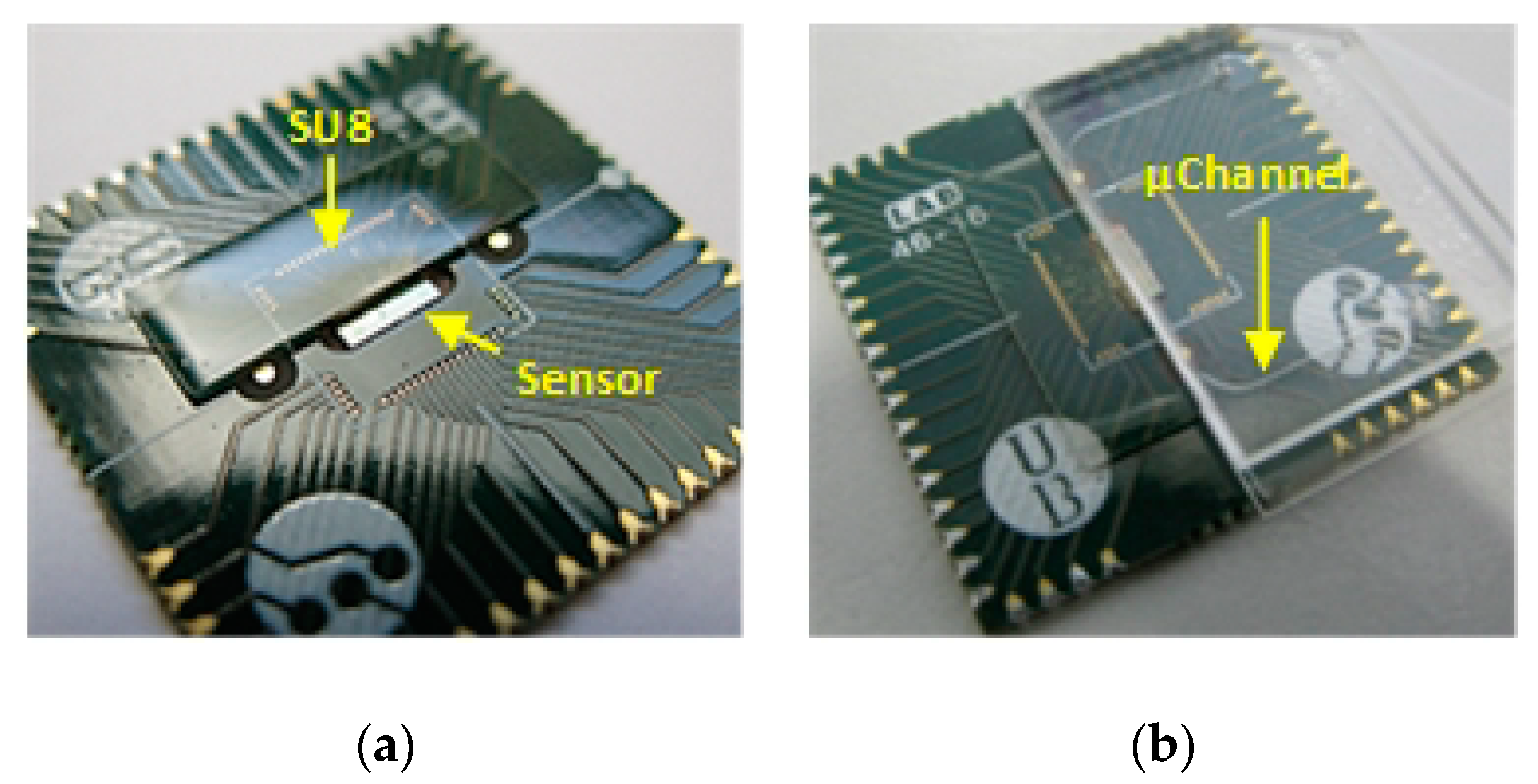 Sensors 19 00445 g005