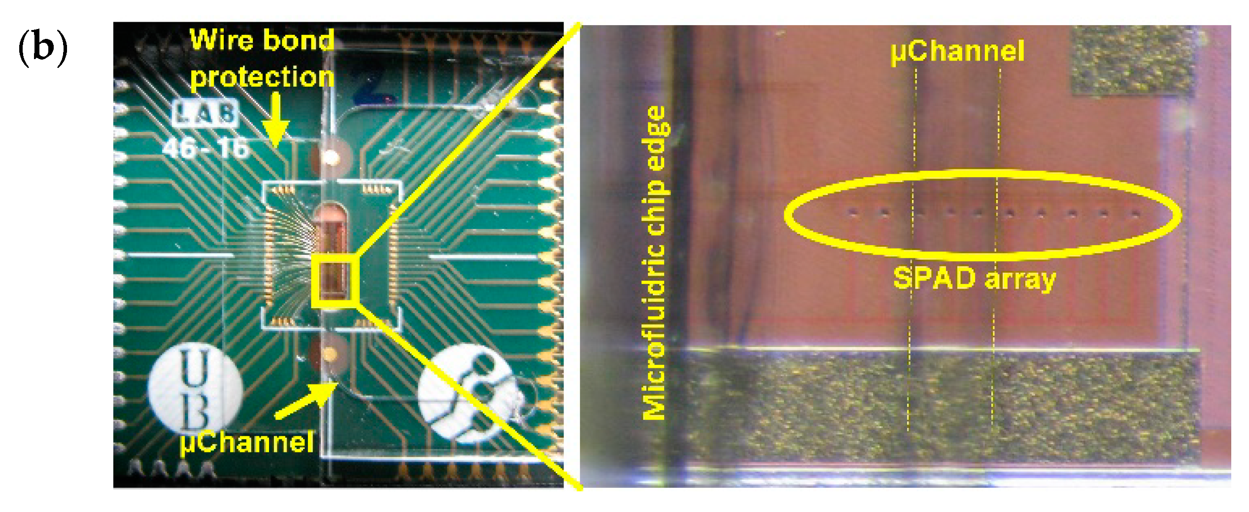 Sensors 19 00445 g006b