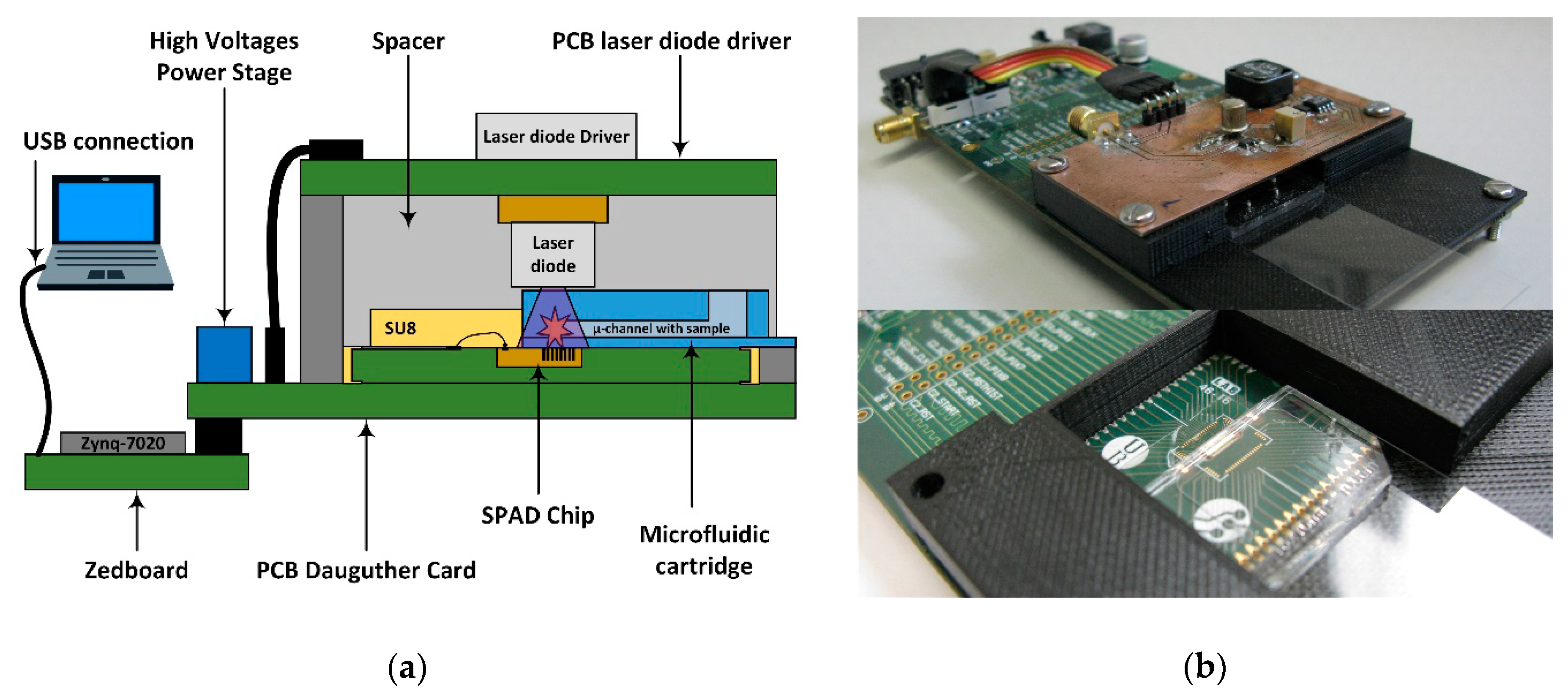 Sensors 19 00445 g008