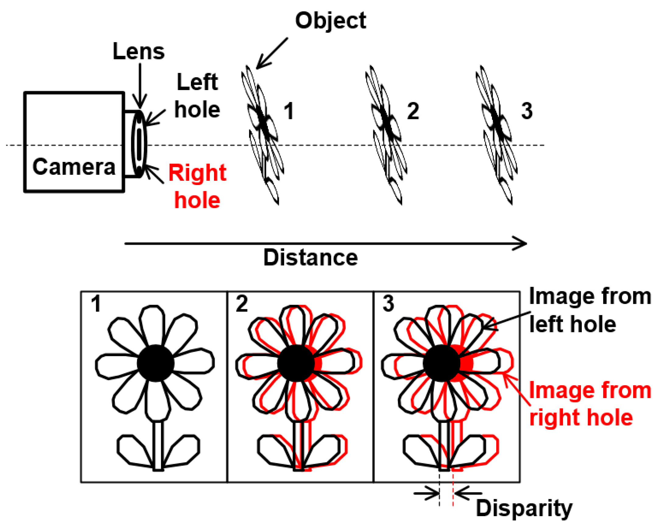 Sensors 19 00472 g002