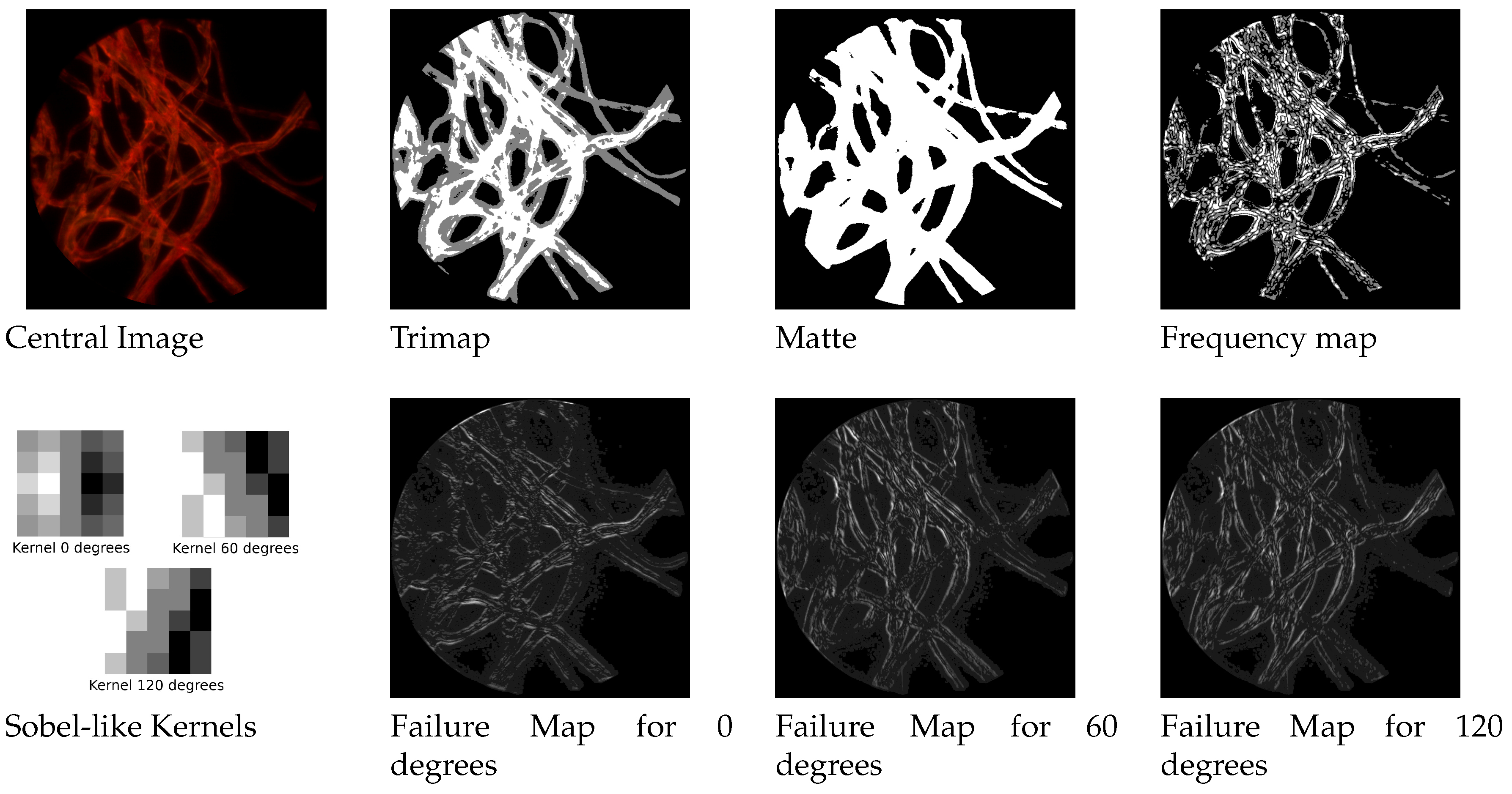 Sensors 19 00500 g004