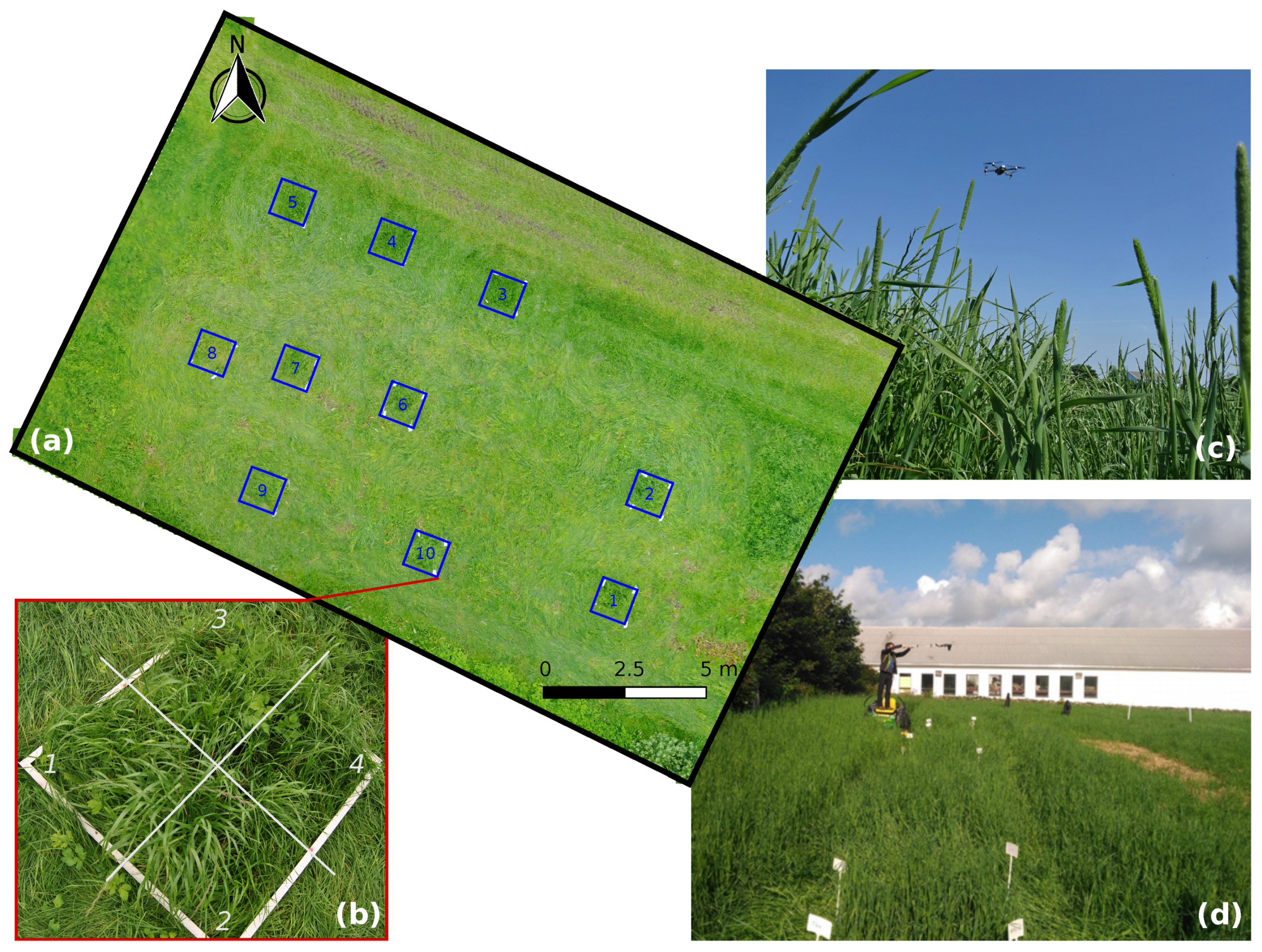 Sensors 19 00535 g001