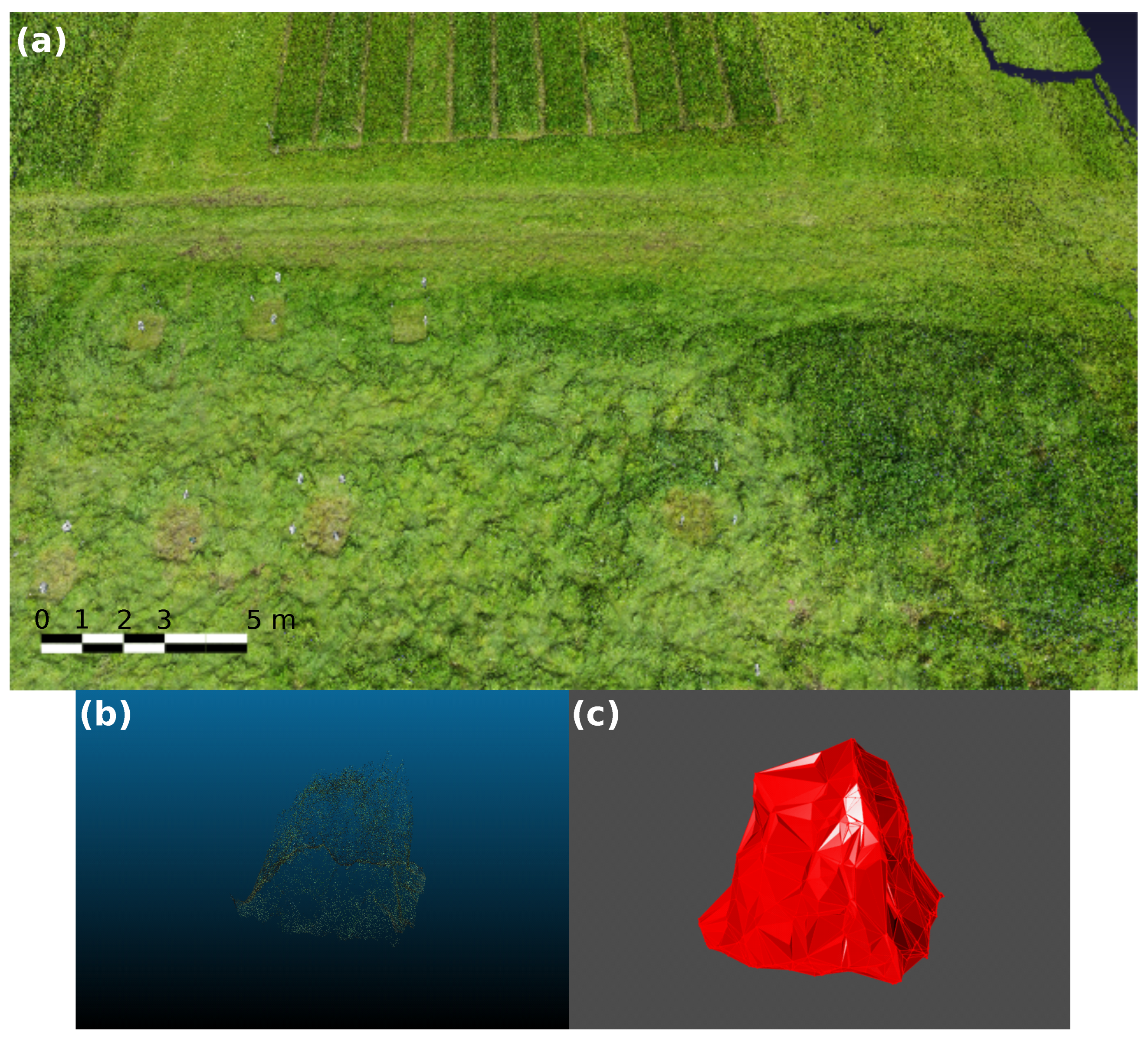 Sensors 19 00535 g005
