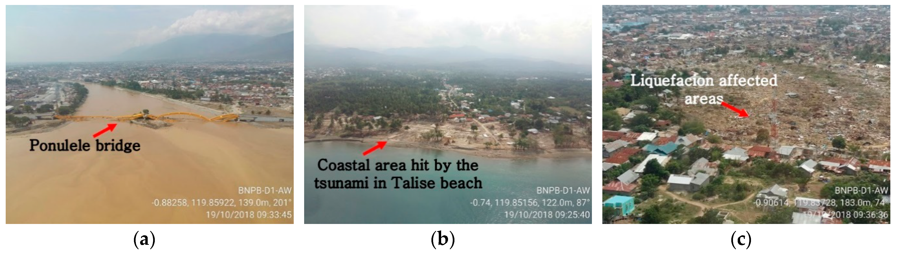 Sensors 19 00542 g003 Sensors 19 00542 g003