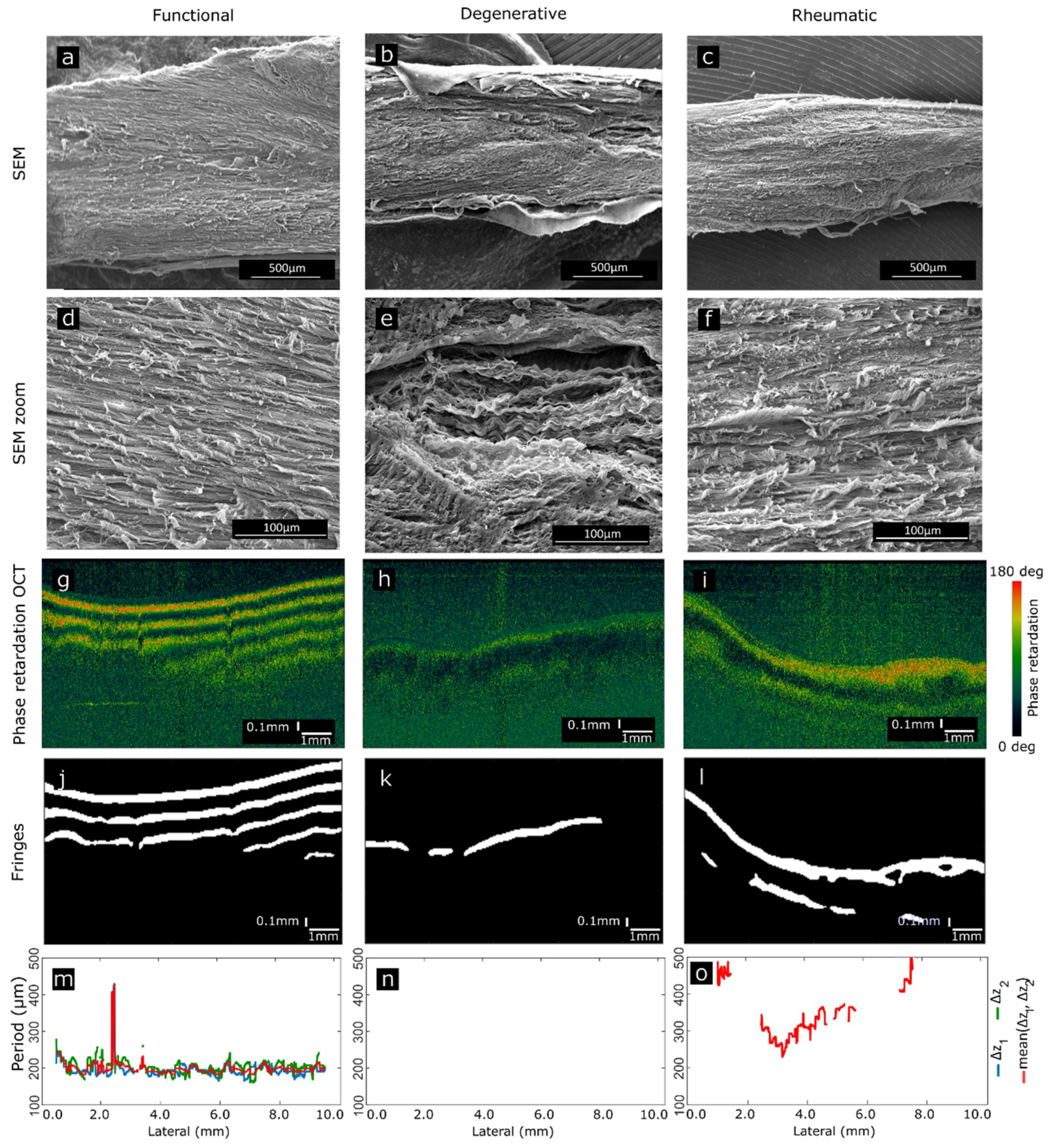 Sensors 19 00543 g004 Sensors 19 00543 g004