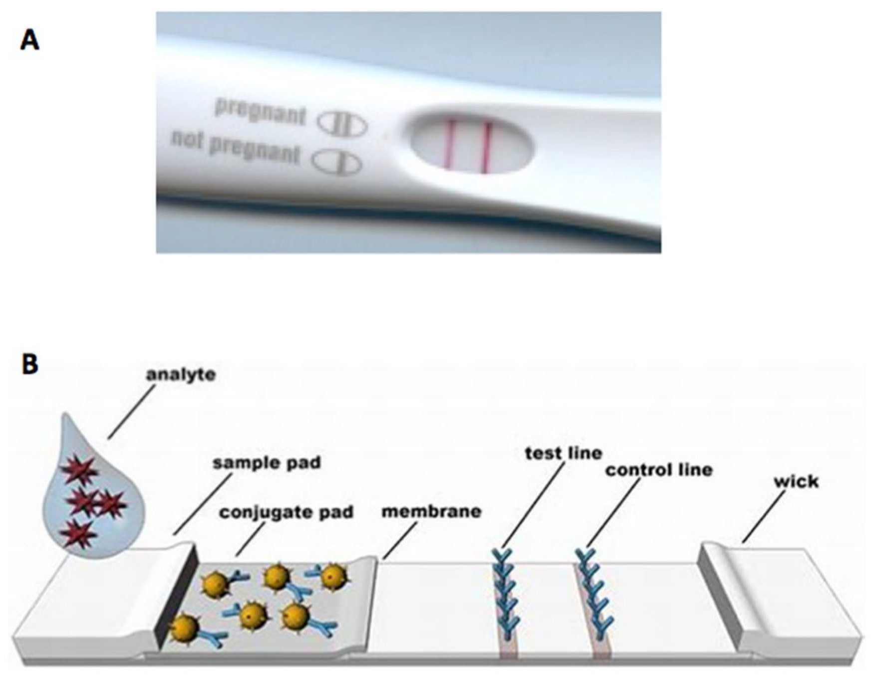 Sensors 19 00554 g001