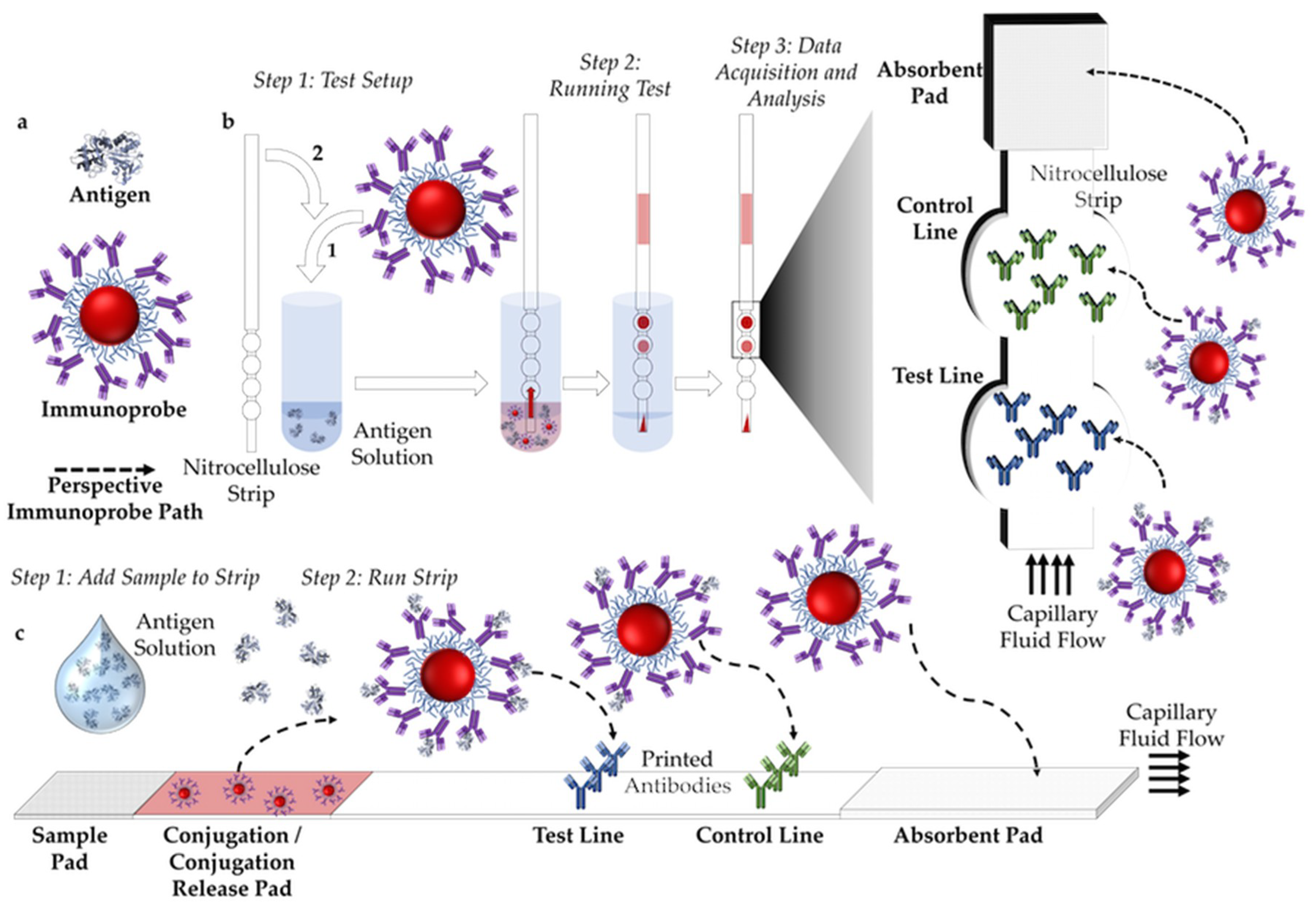 Sensors 19 00554 g002