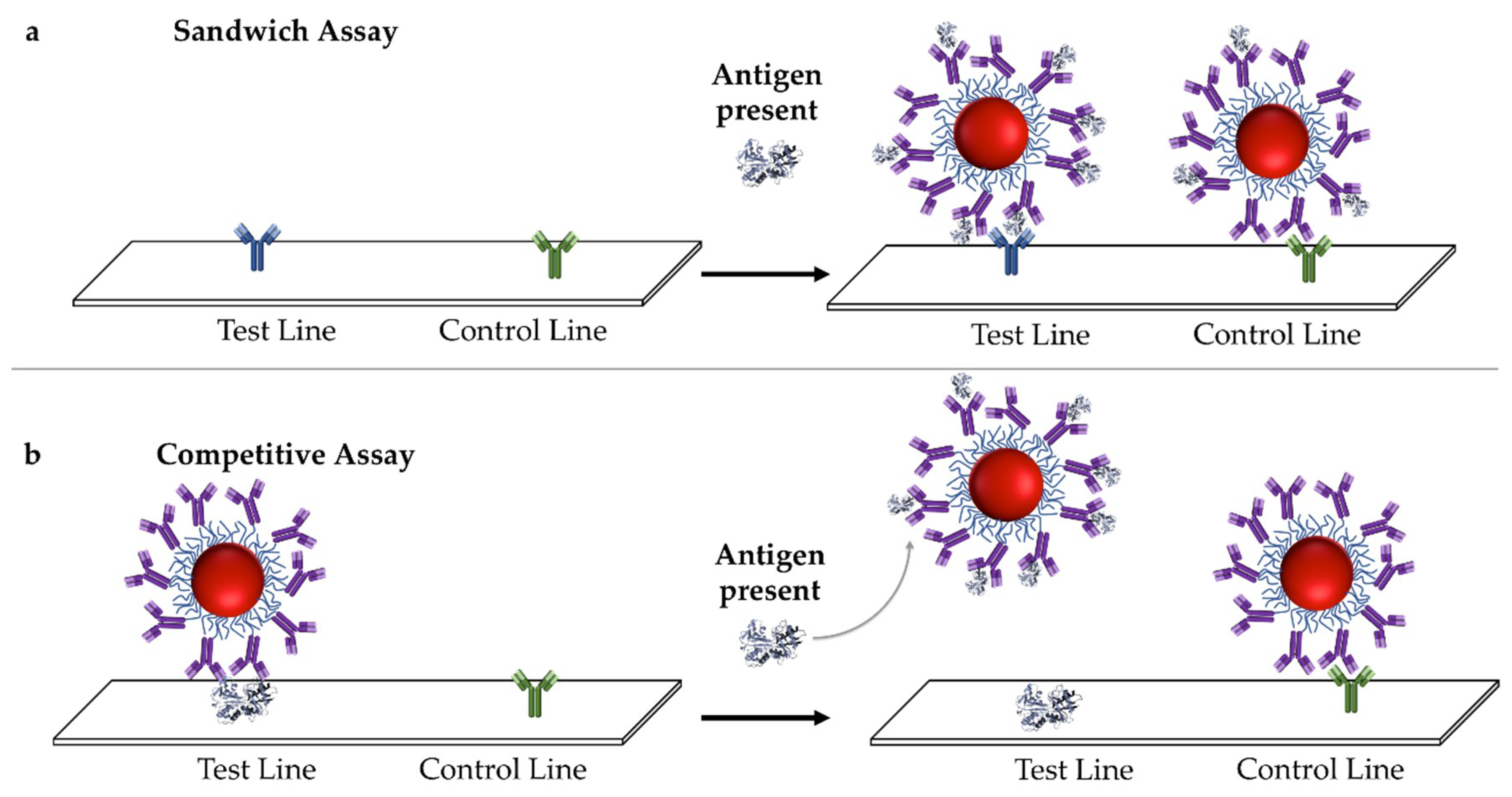 Sensors 19 00554 g003