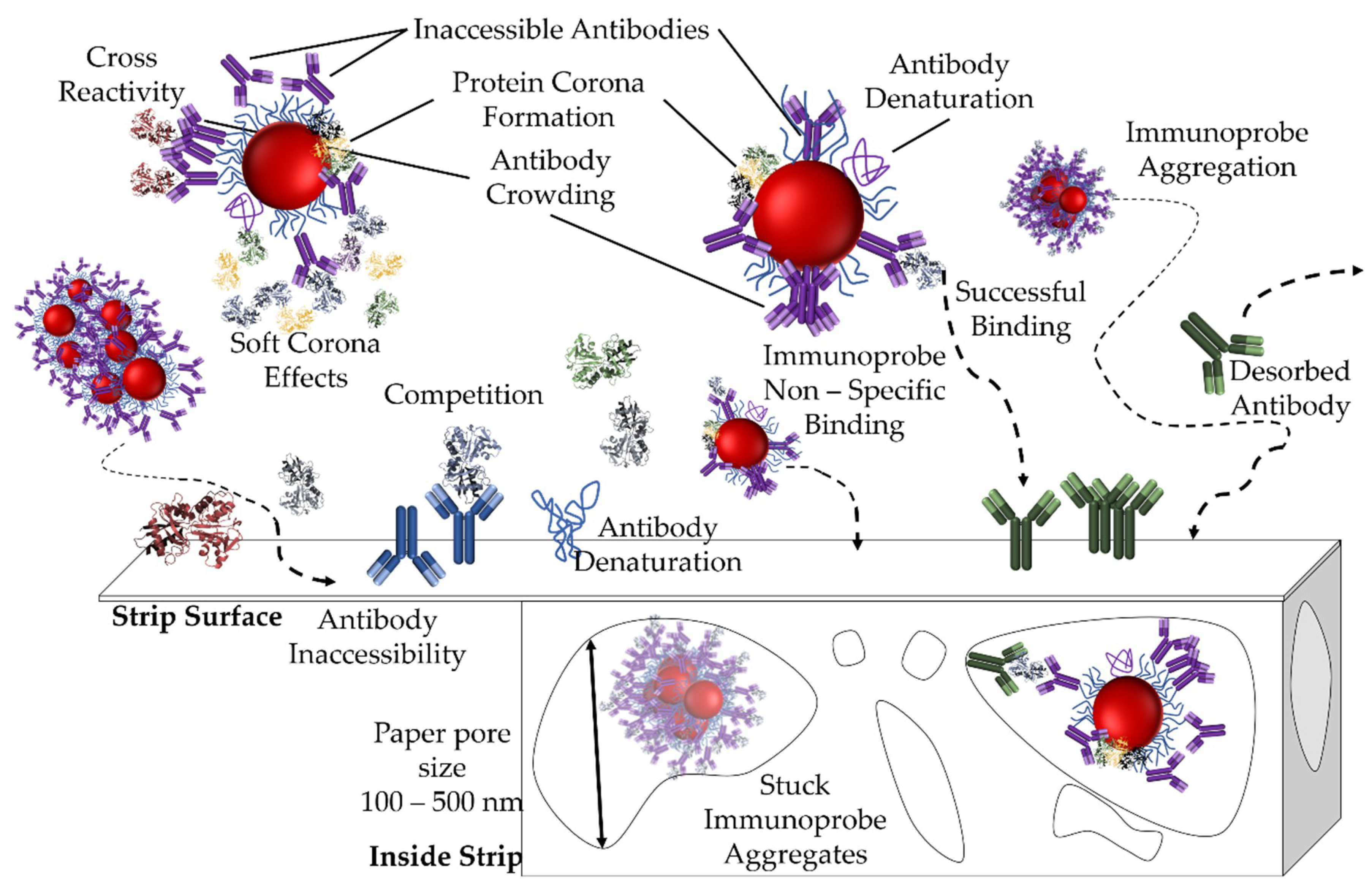 Sensors 19 00554 g009