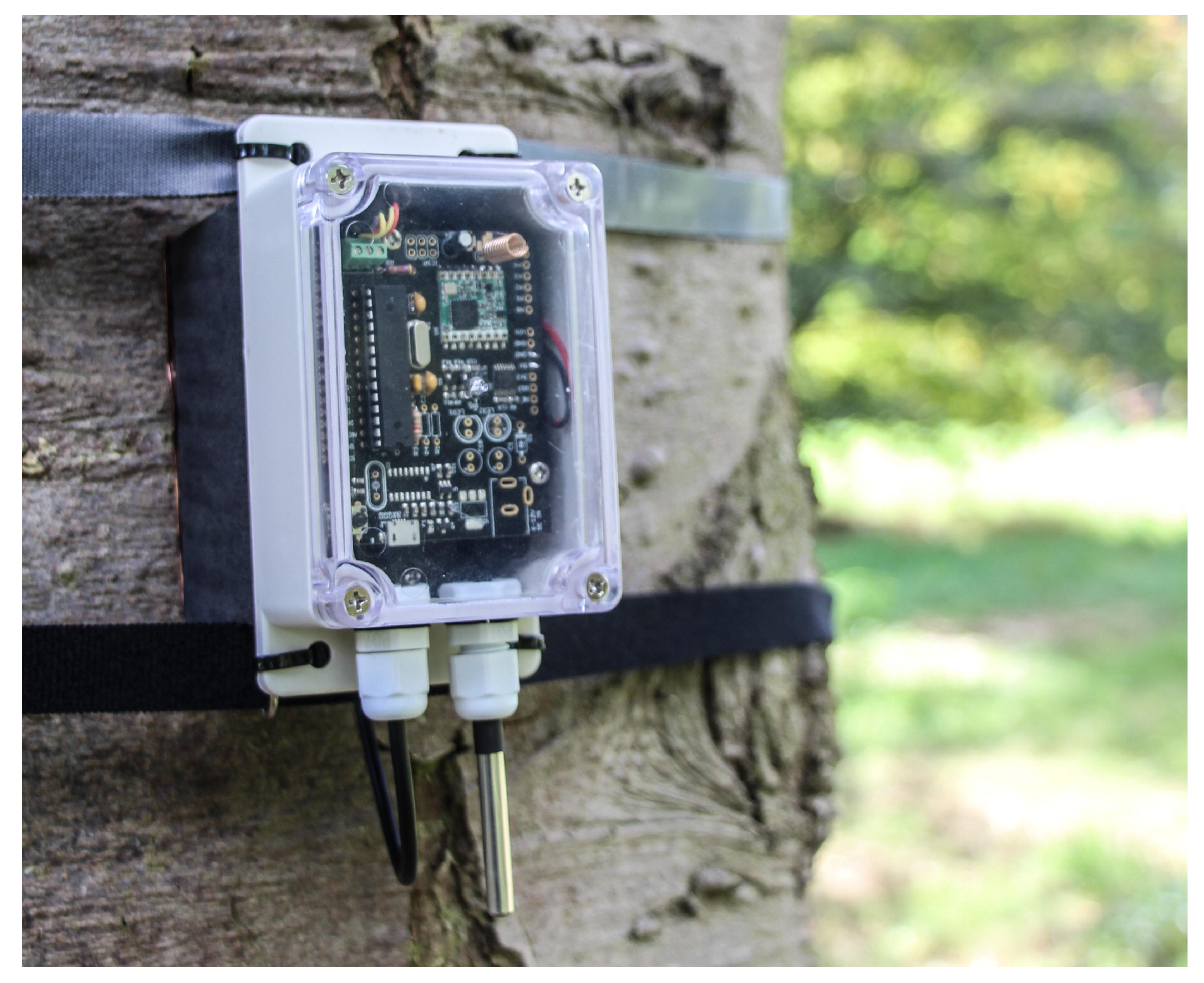 Sensors 19 00585 g006