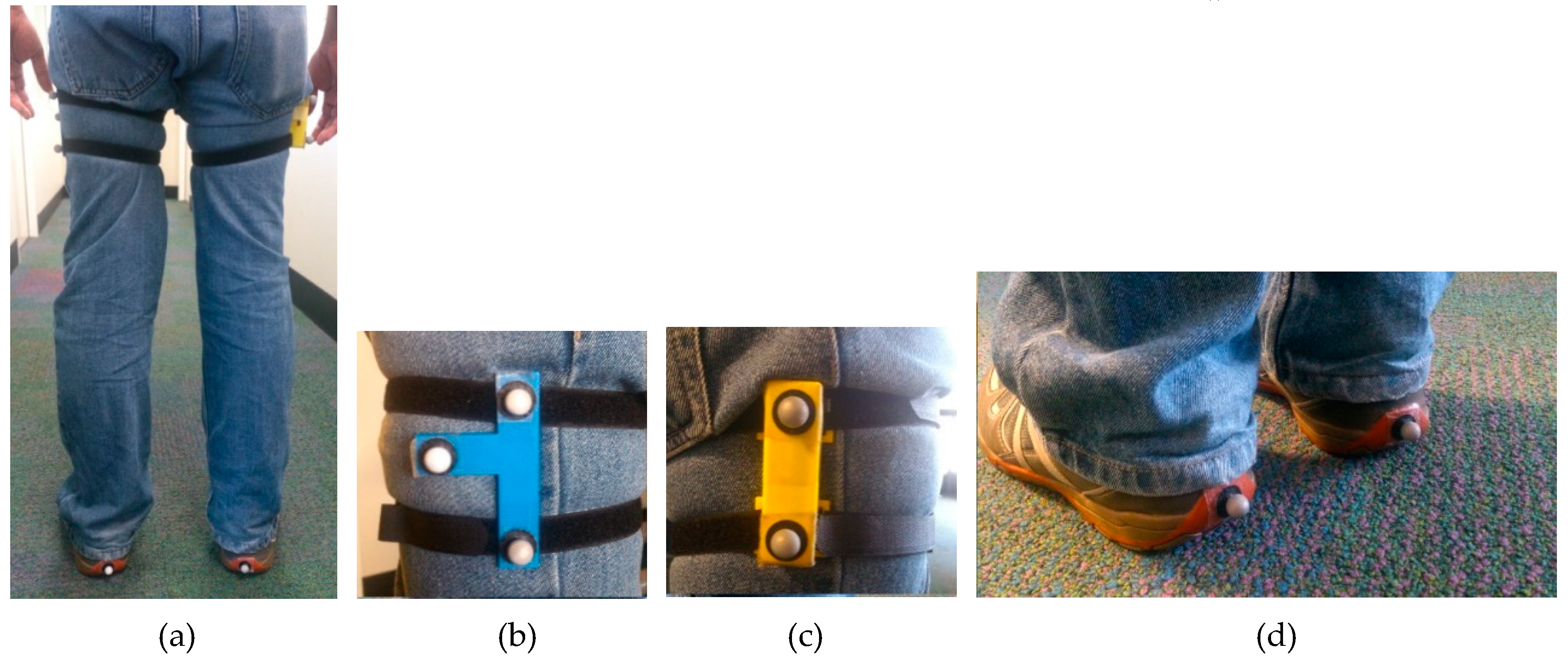 Sensors 19 00596 g004