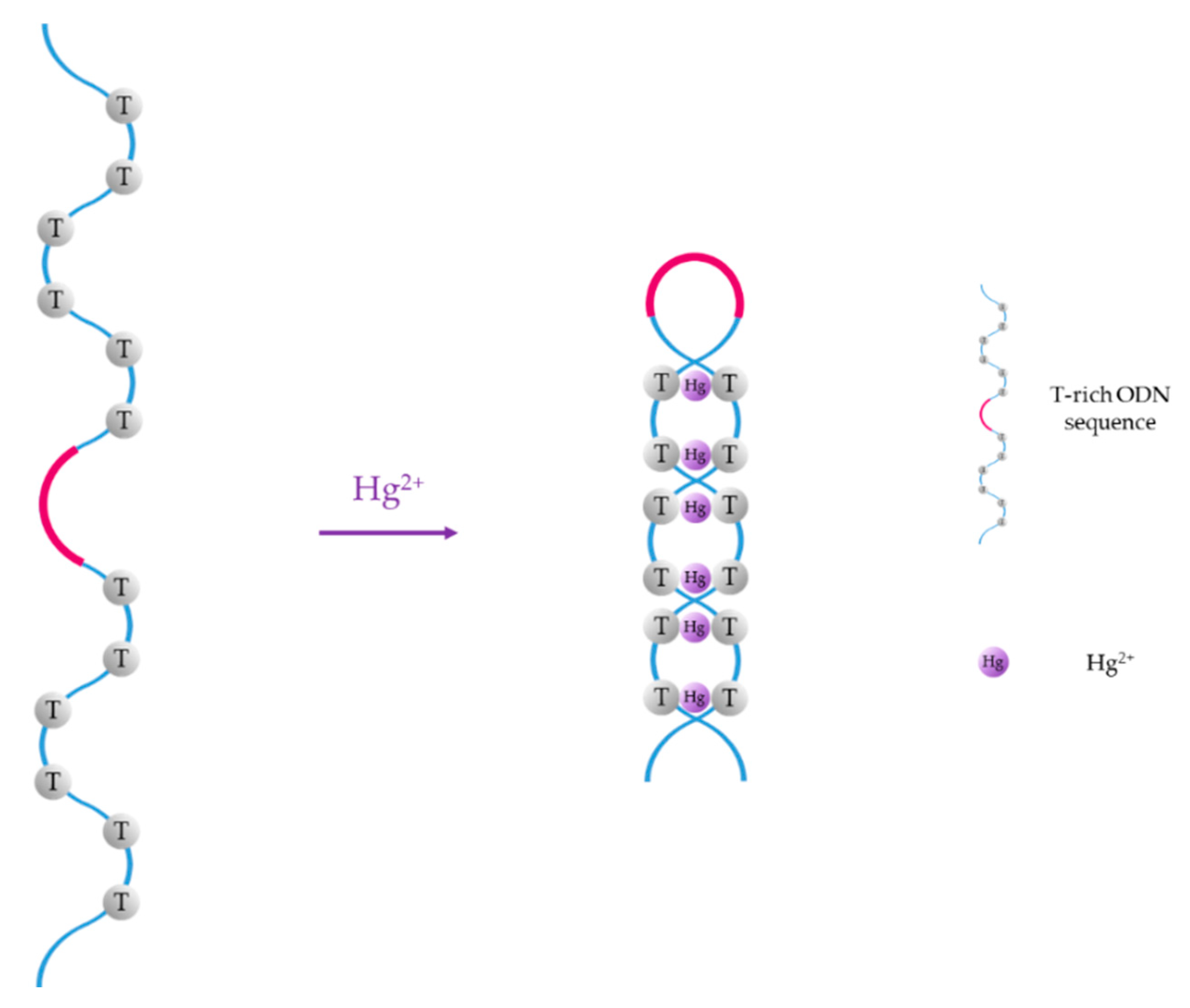 Sensors 19 00599 g001