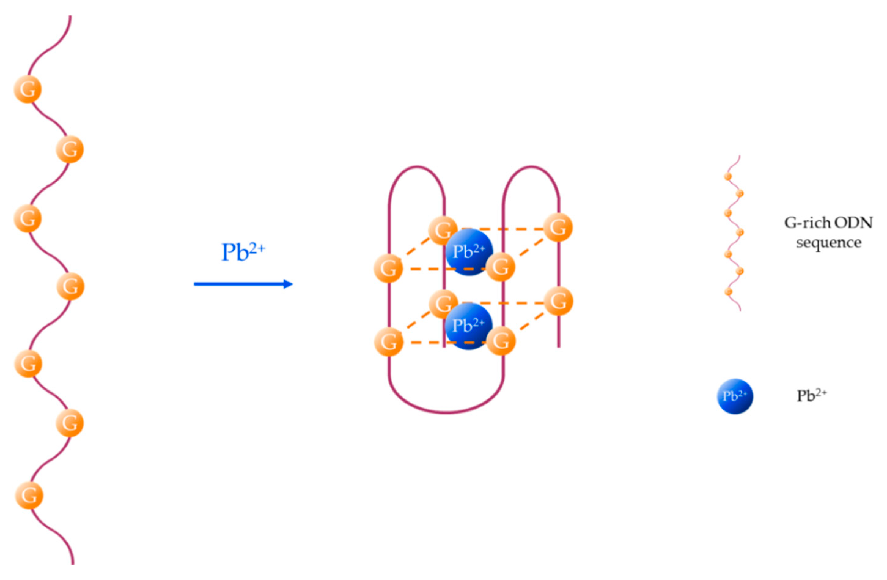 Sensors 19 00599 g002