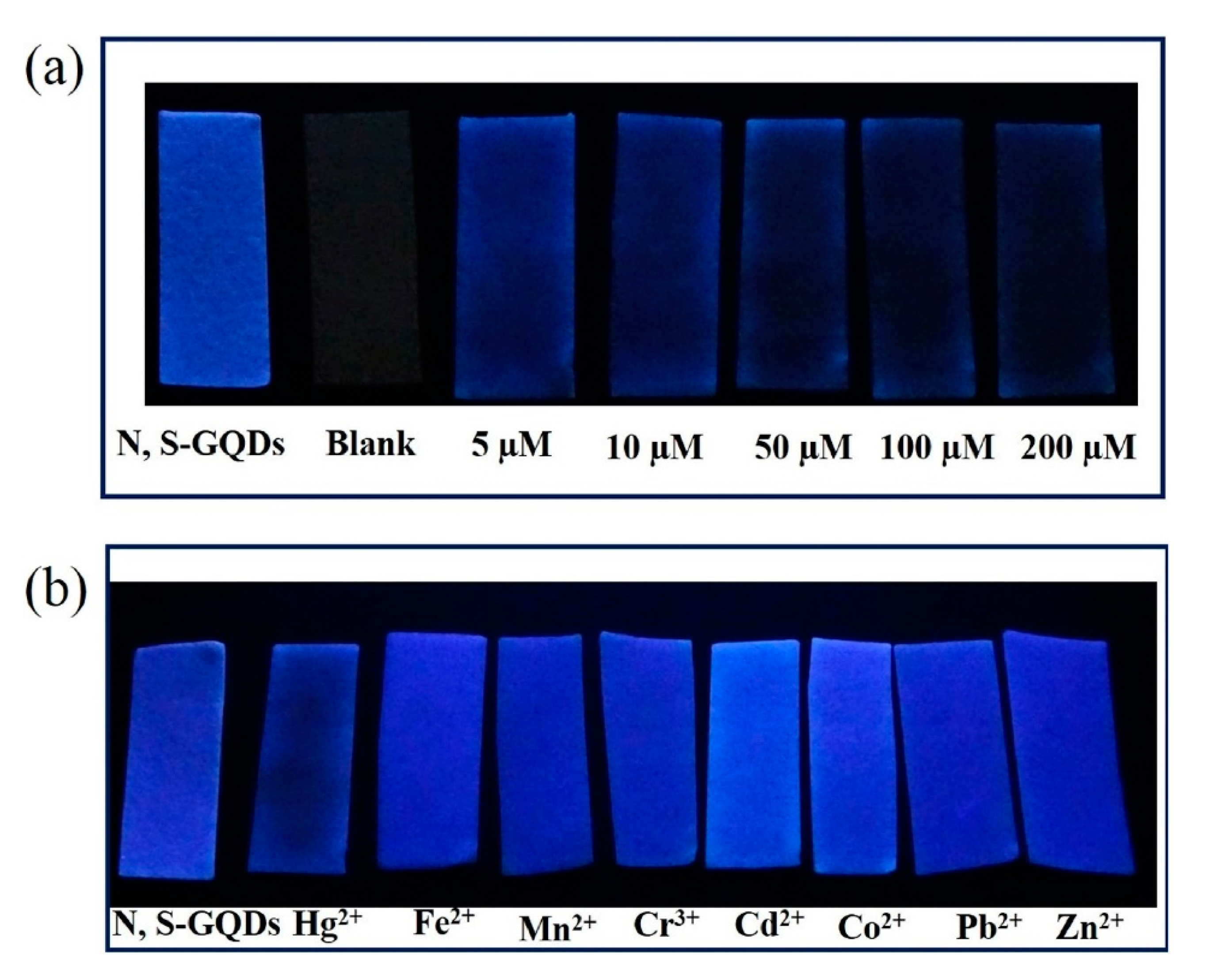 Sensors 19 00599 g010