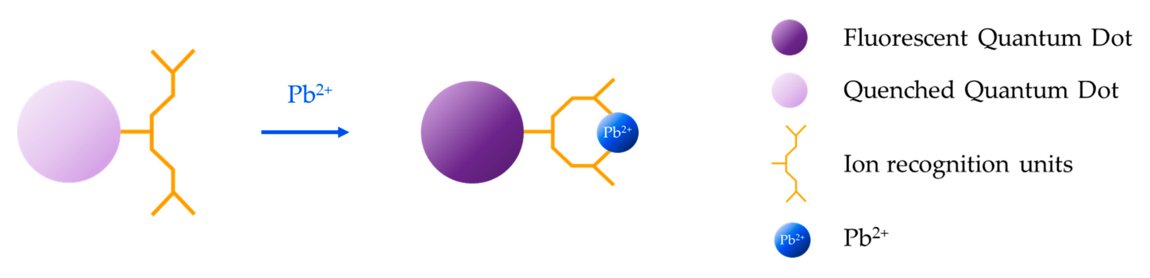 Sensors 19 00599 g011