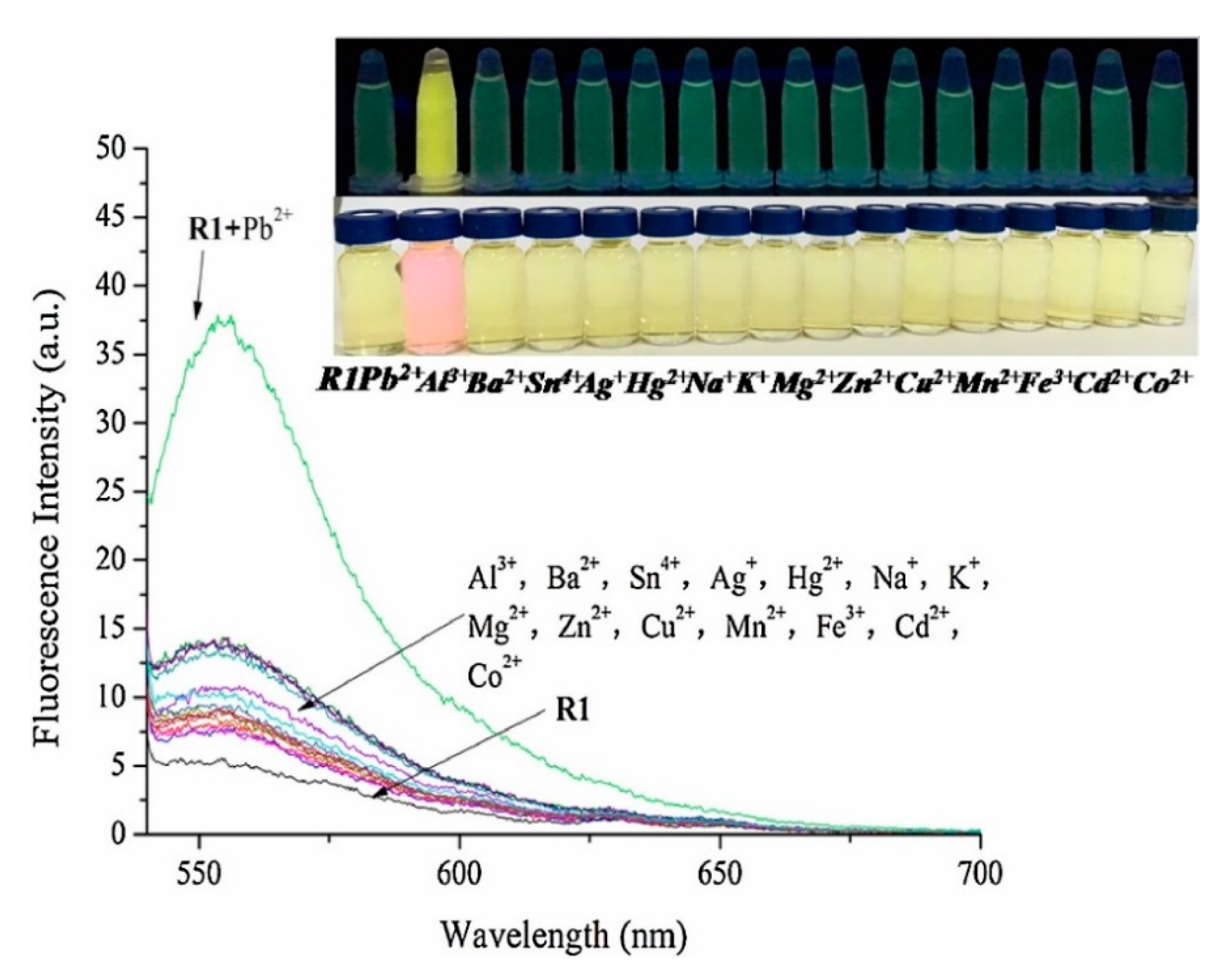 Sensors 19 00599 g013