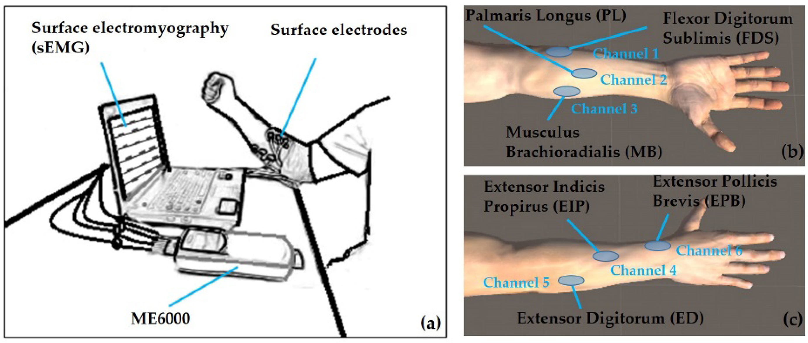 Sensors 19 00610 g001 Sensors 19 00610 g001