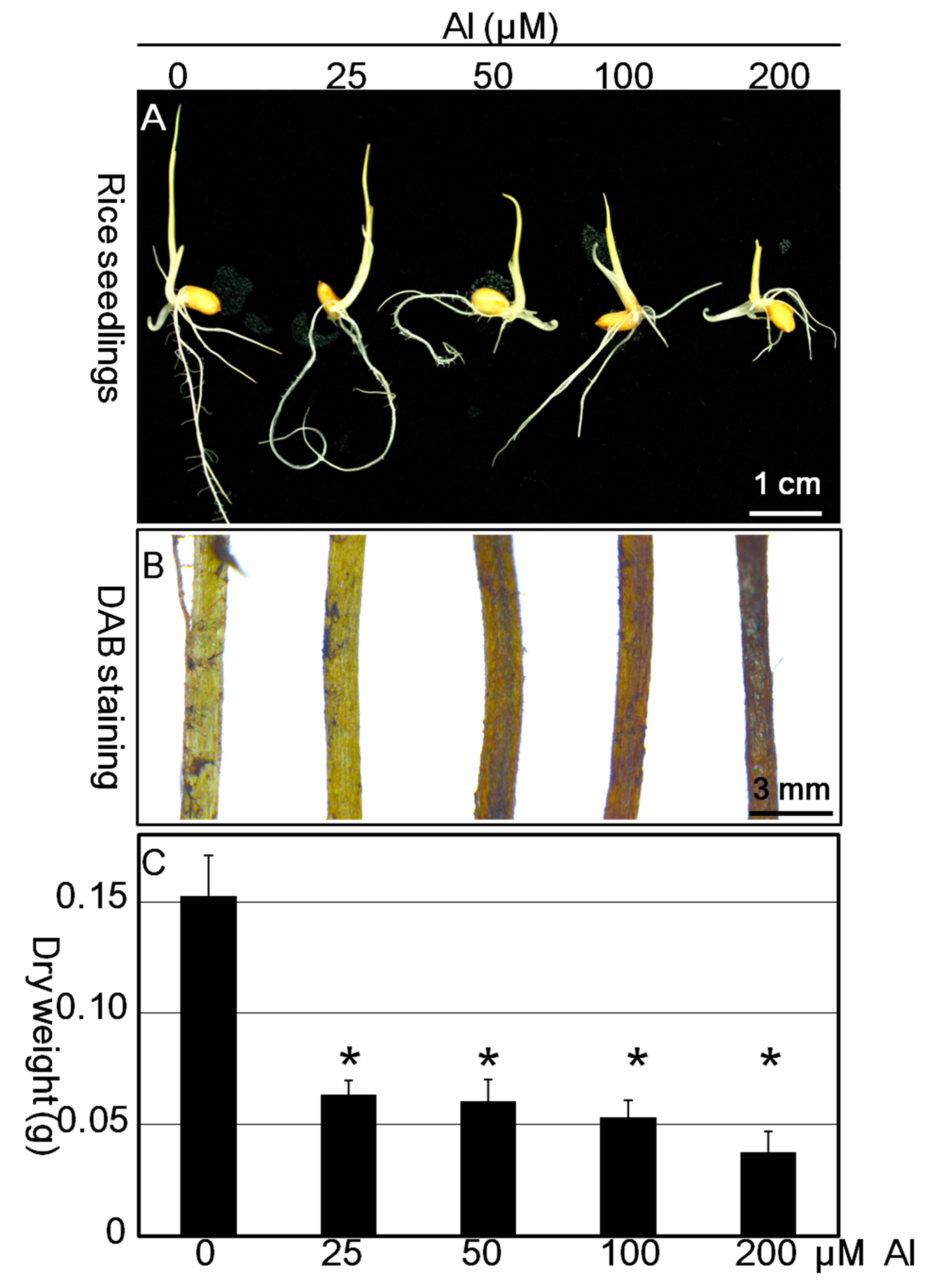 Sensors 19 00623 g007