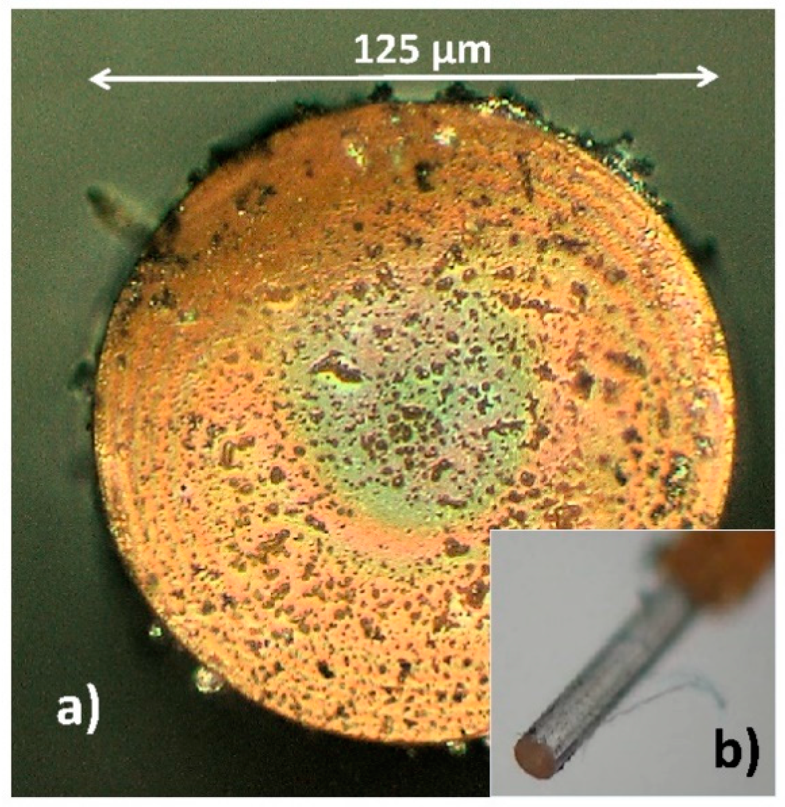 Sensors 19 00629 g004 Sensors 19 00629 g004
