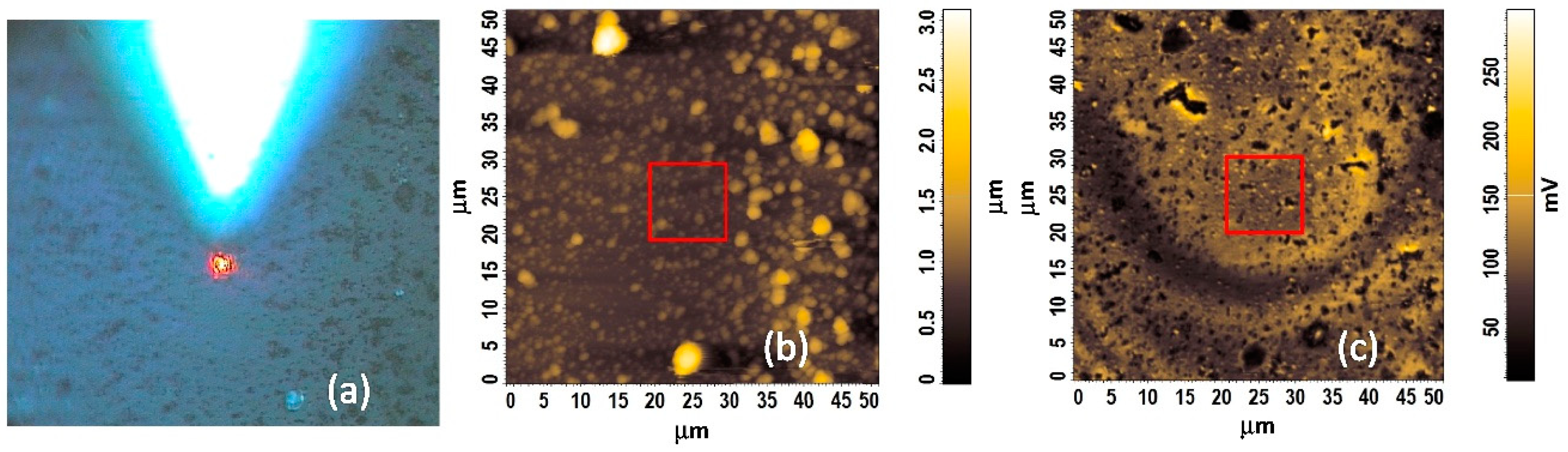 Sensors 19 00629 g005 Sensors 19 00629 g005