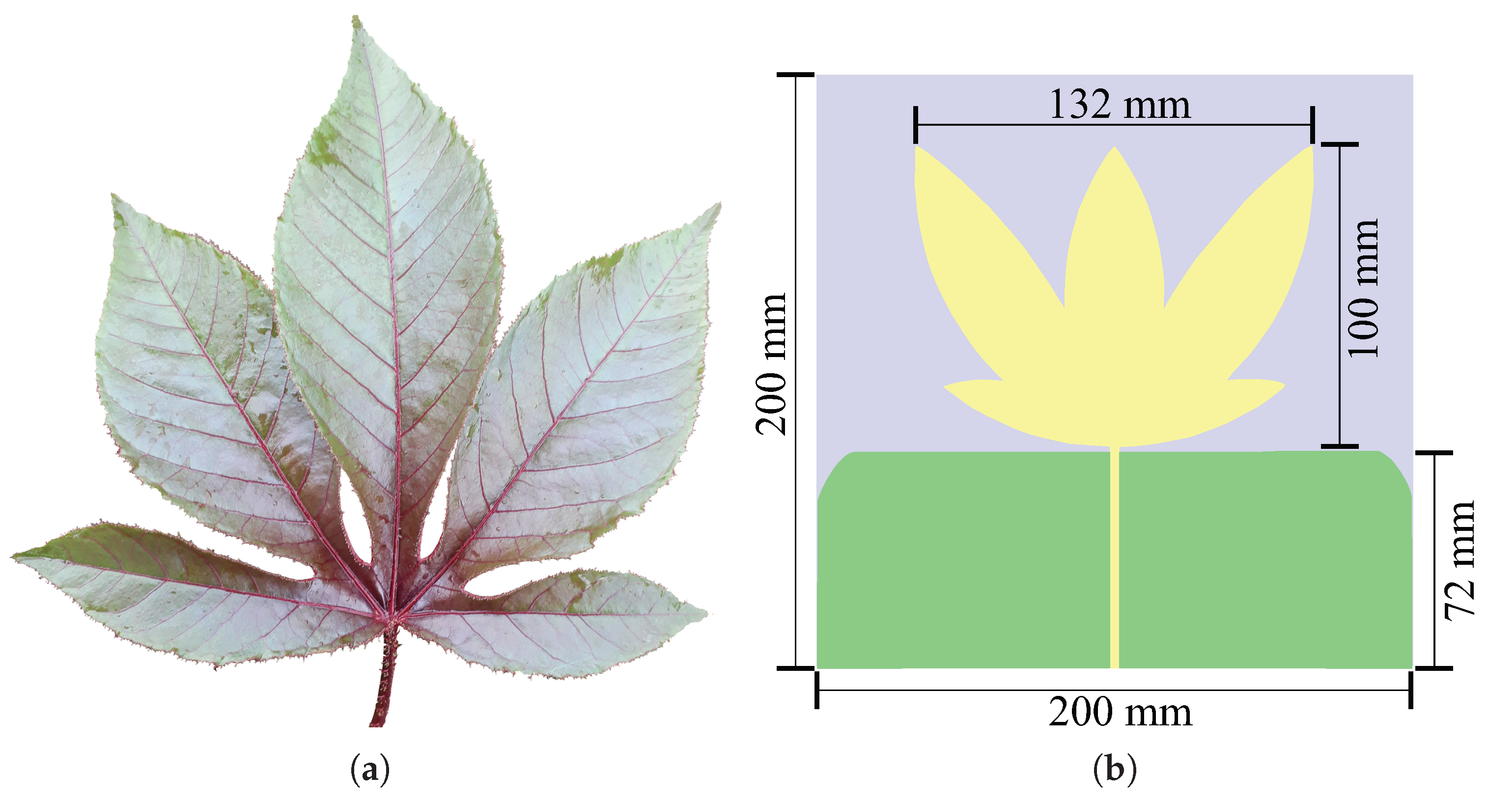 Sensors 19 00653 g003