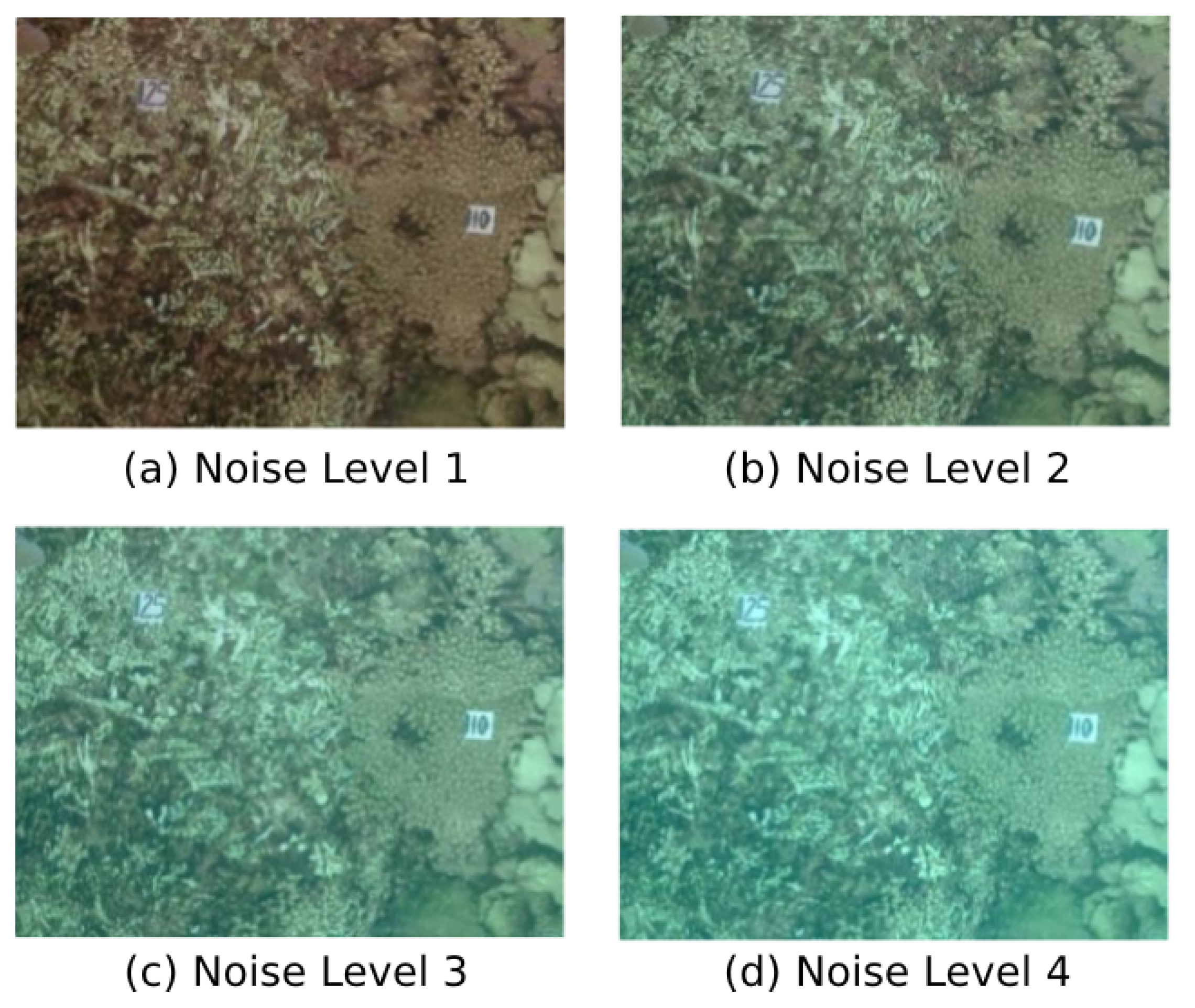 Sensors 19 00687 g006