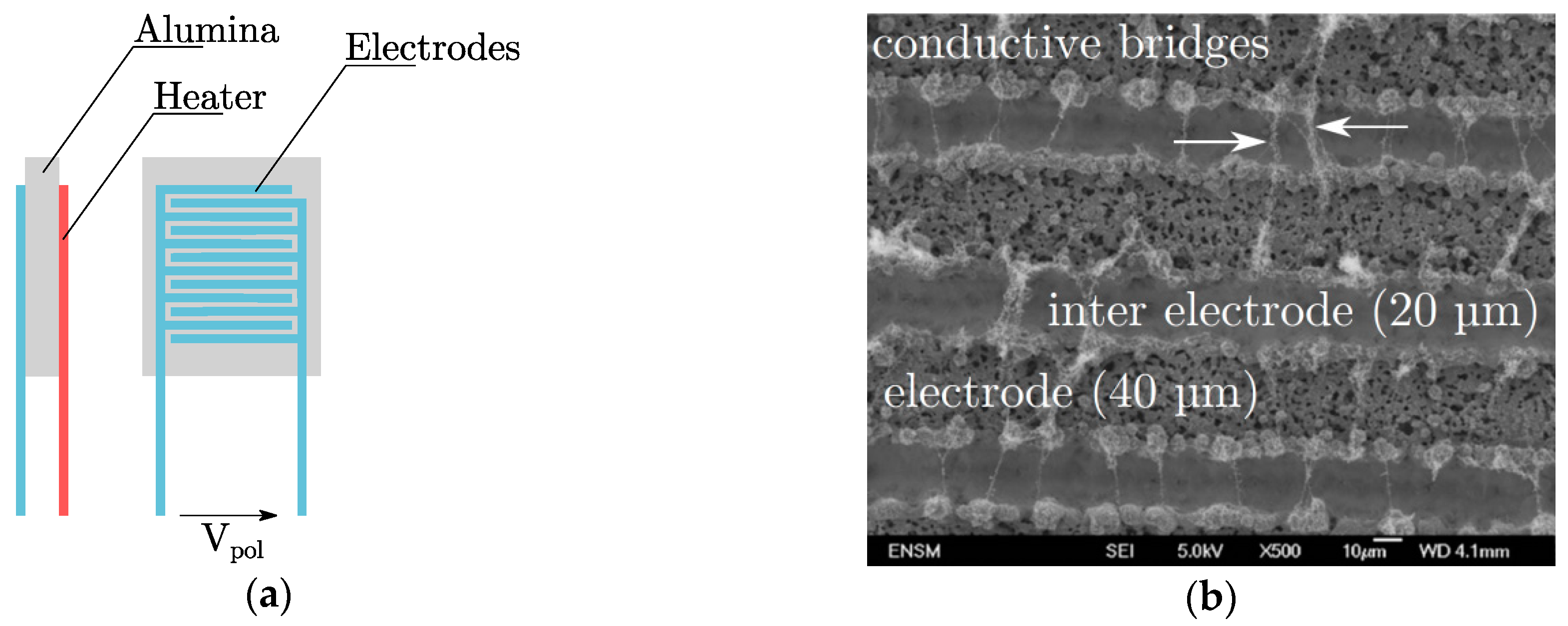 Sensors 19 00705 g003
