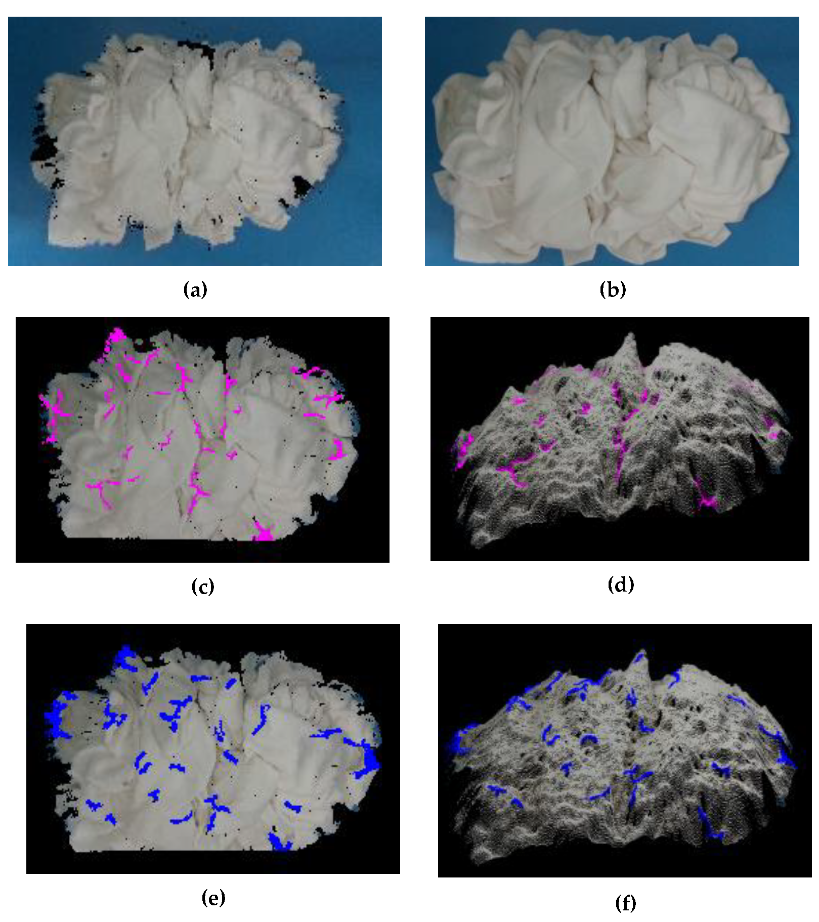 Sensors 19 00713 g005