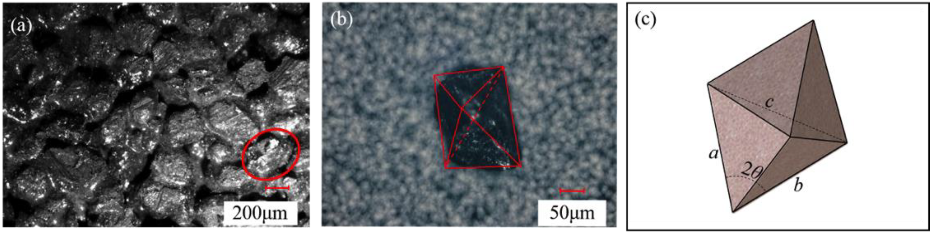Sensors 19 00725 g002