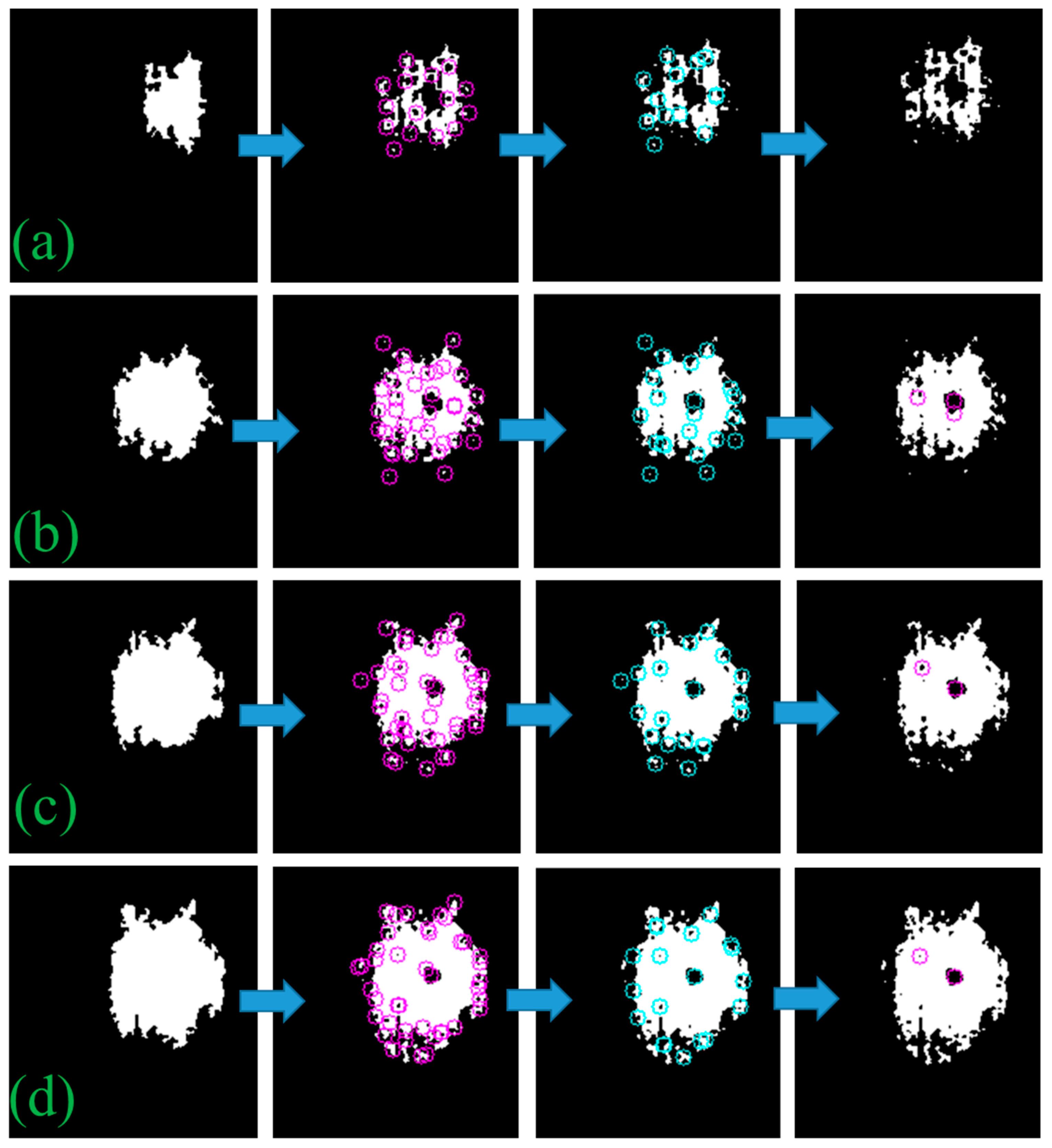 Sensors 19 00739 g004
