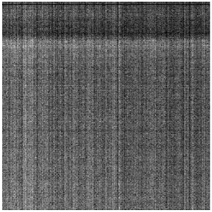 Sensors 19 00747 i013