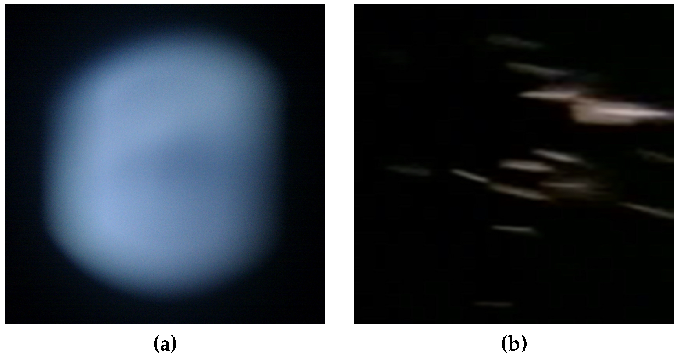 Sensors 19 00749 g005